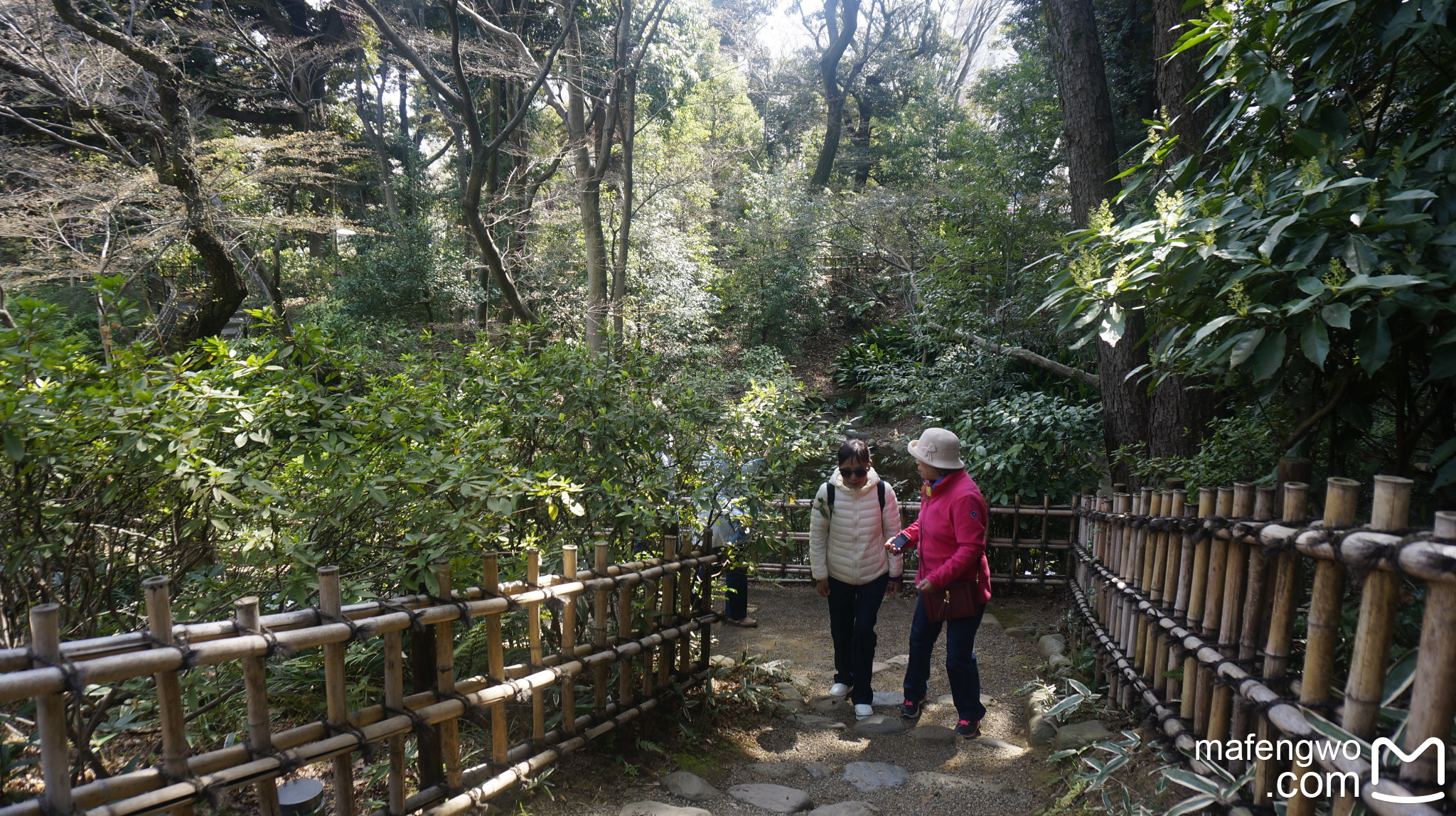 東京自助遊攻略