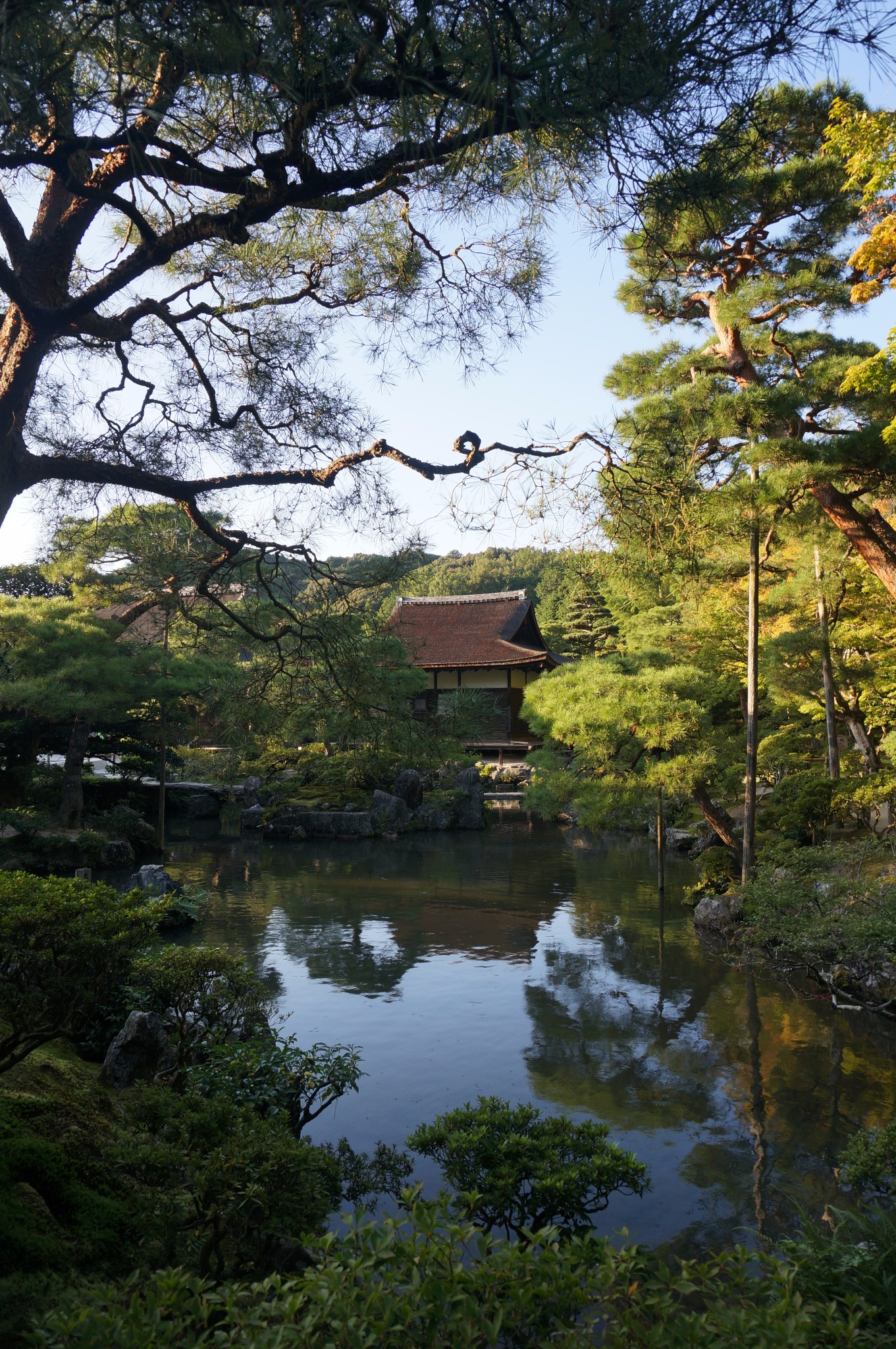 京都自助遊攻略