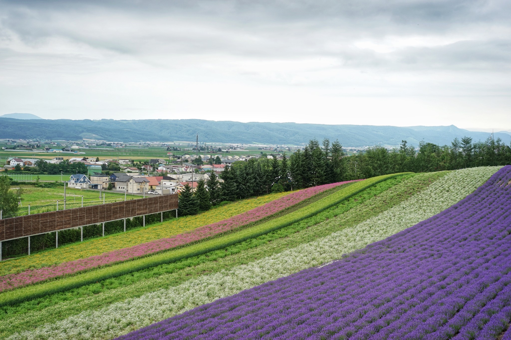 北海道自助遊攻略