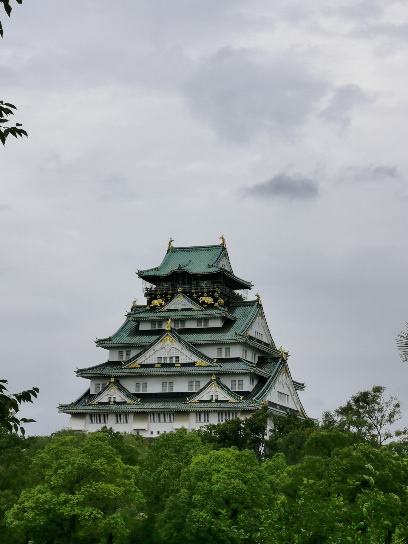 京都自助遊攻略