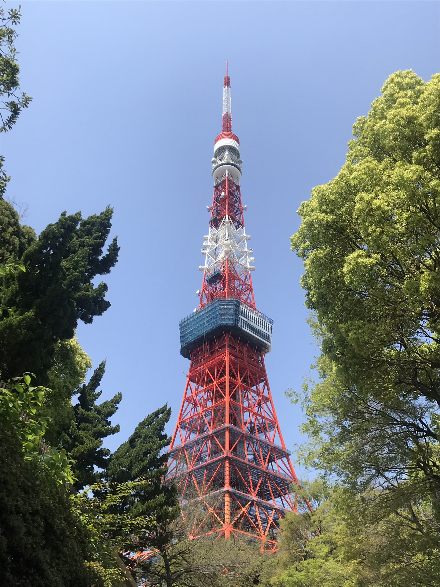 東京自助遊攻略