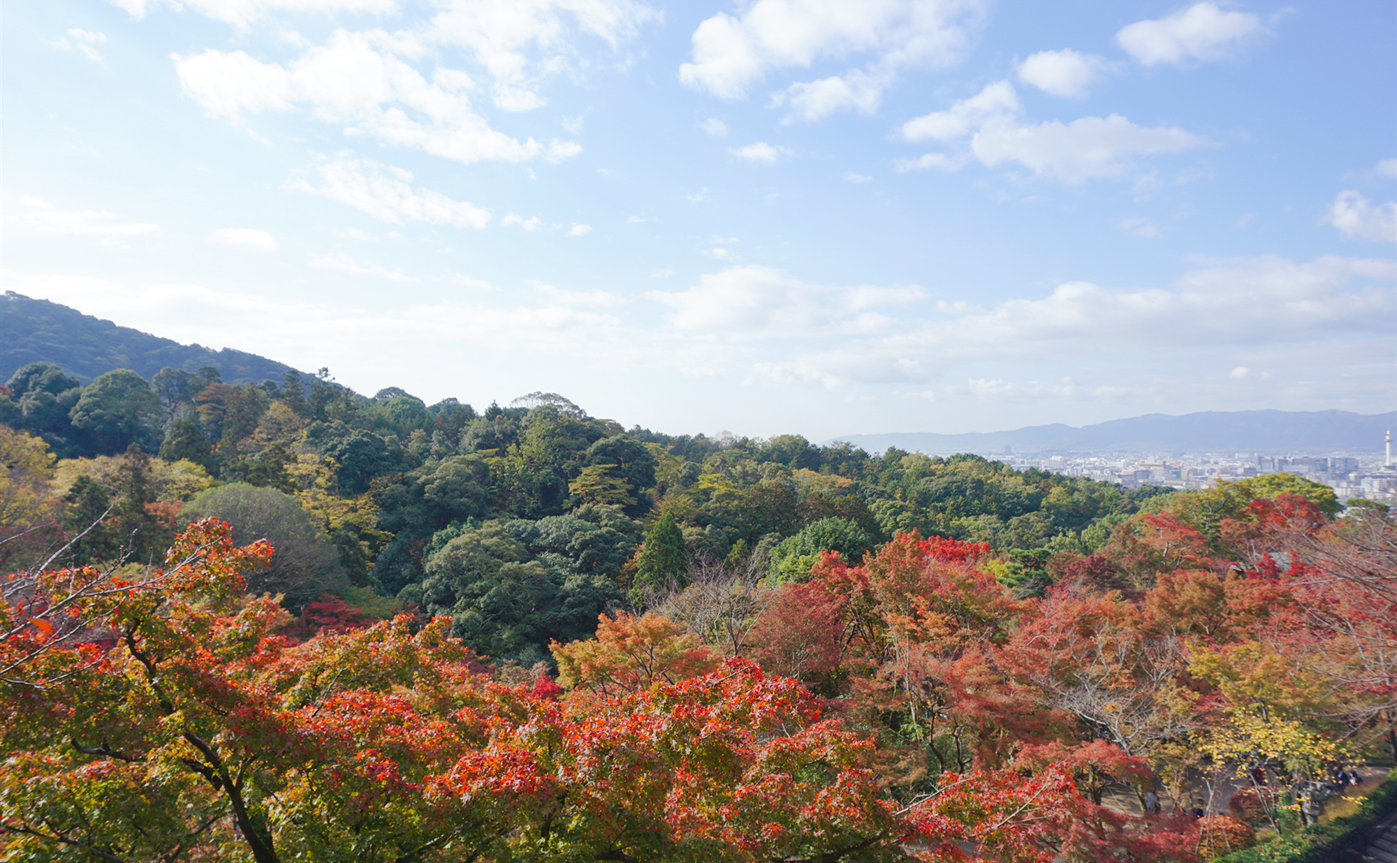 京都自助遊攻略