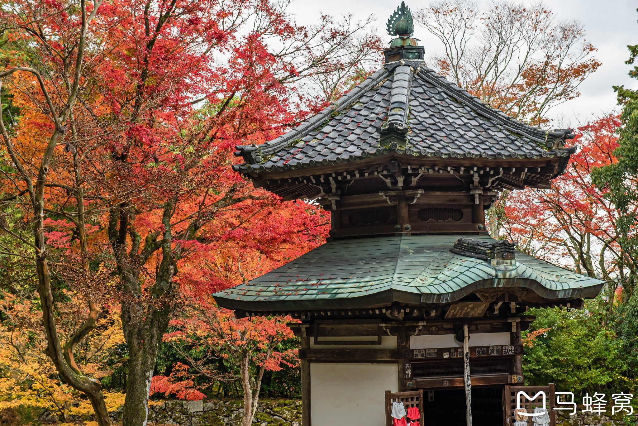 京都自助遊攻略