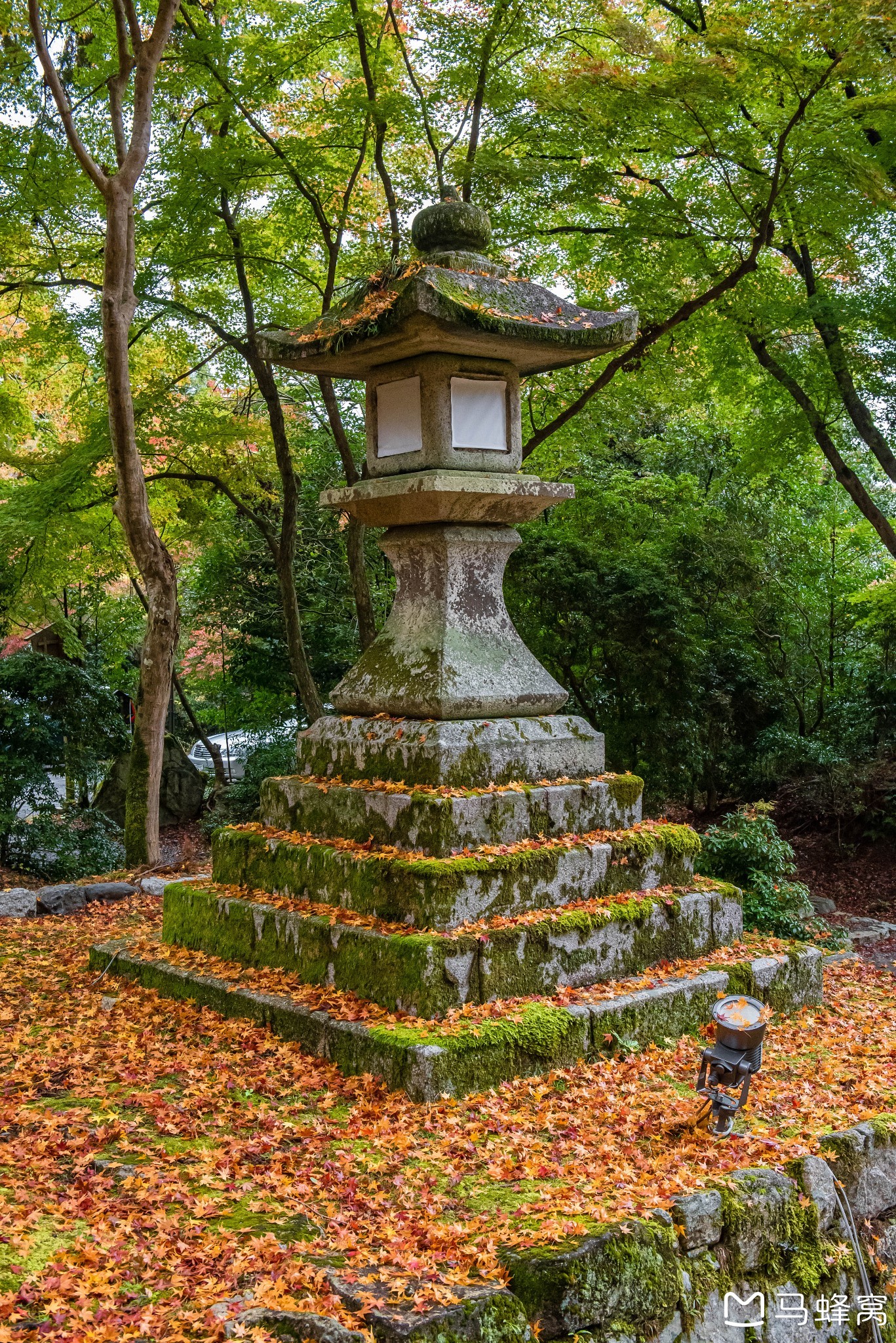 京都自助遊攻略