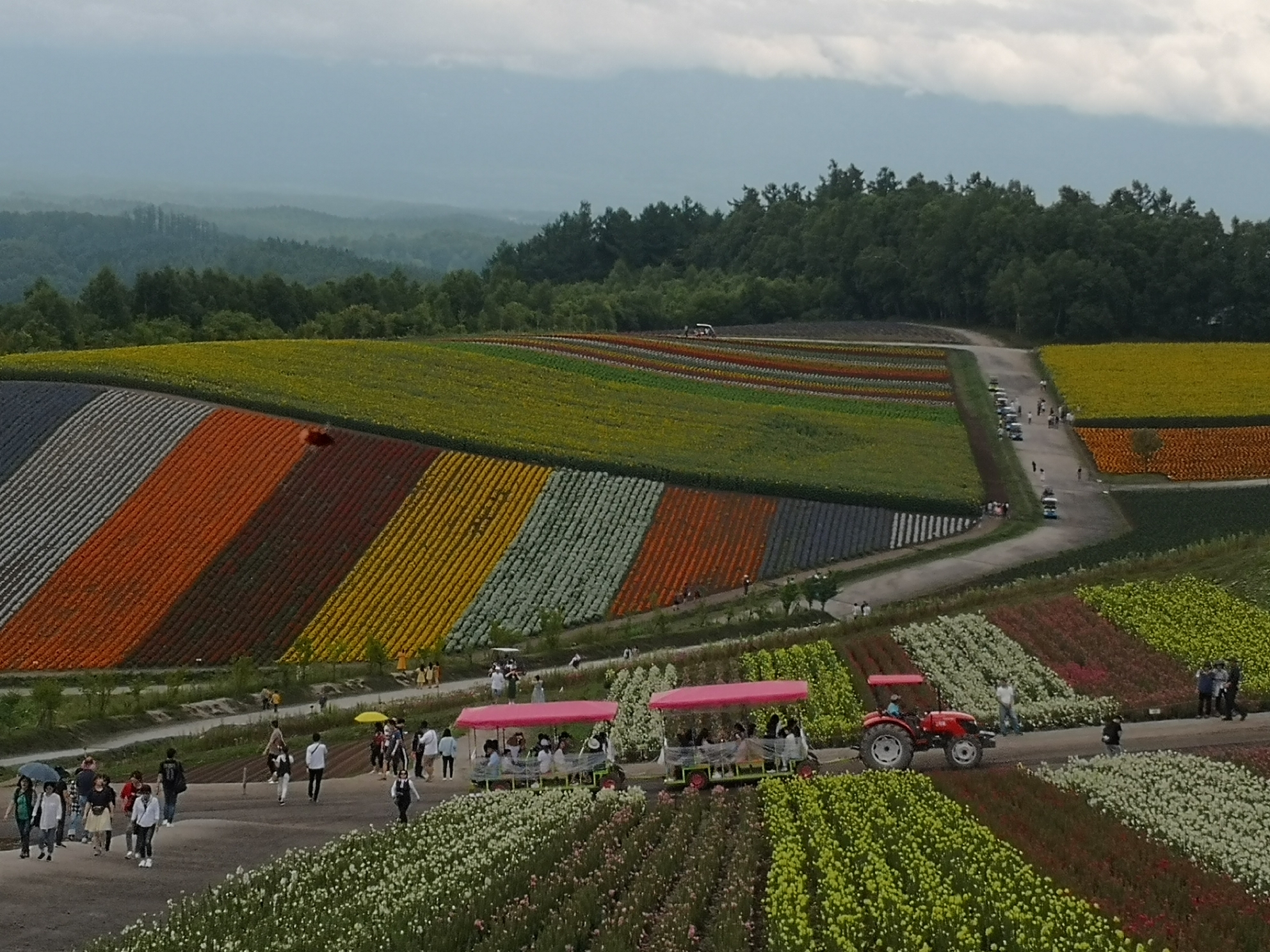 北海道自助遊攻略