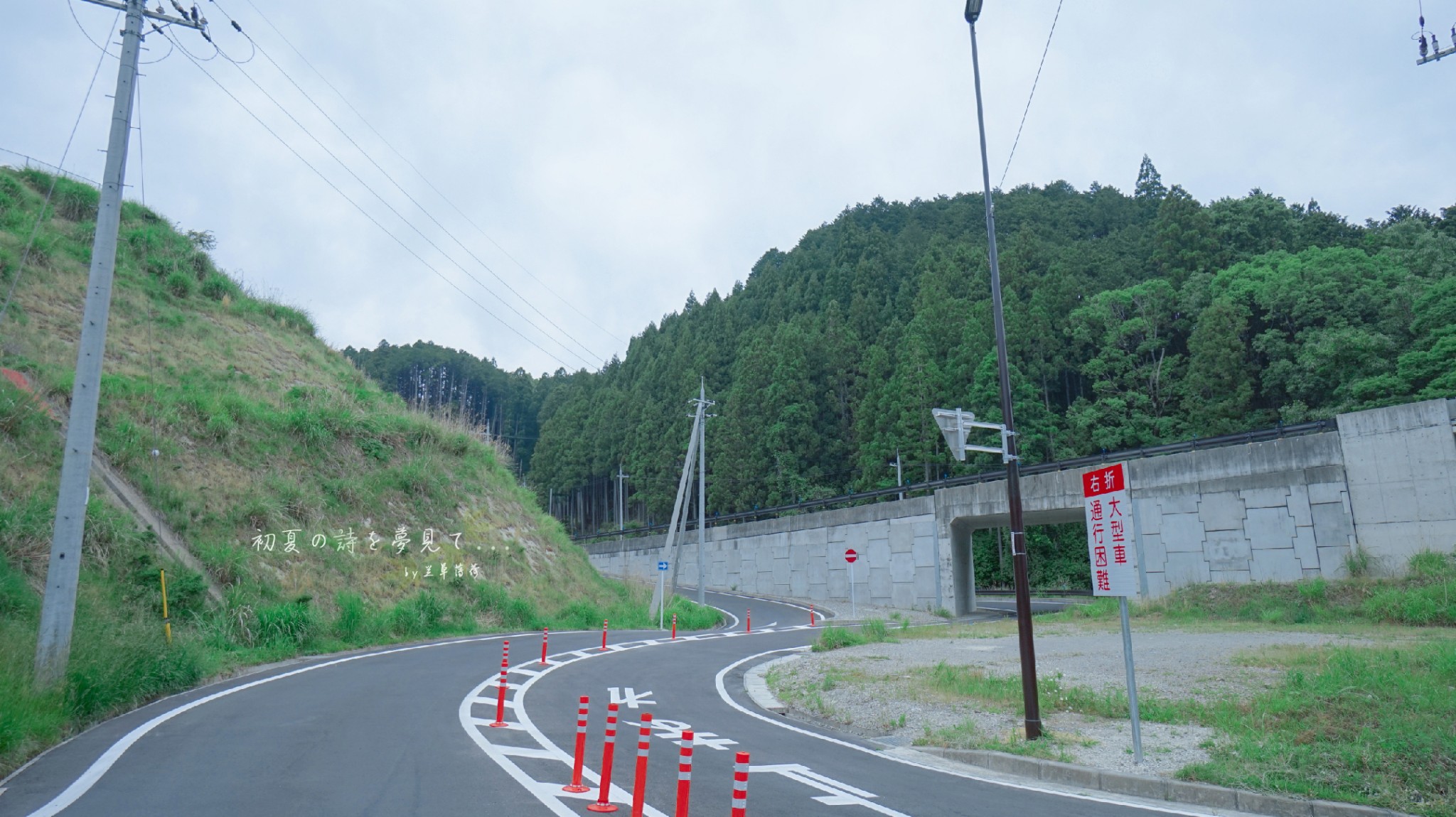 京都自助遊攻略