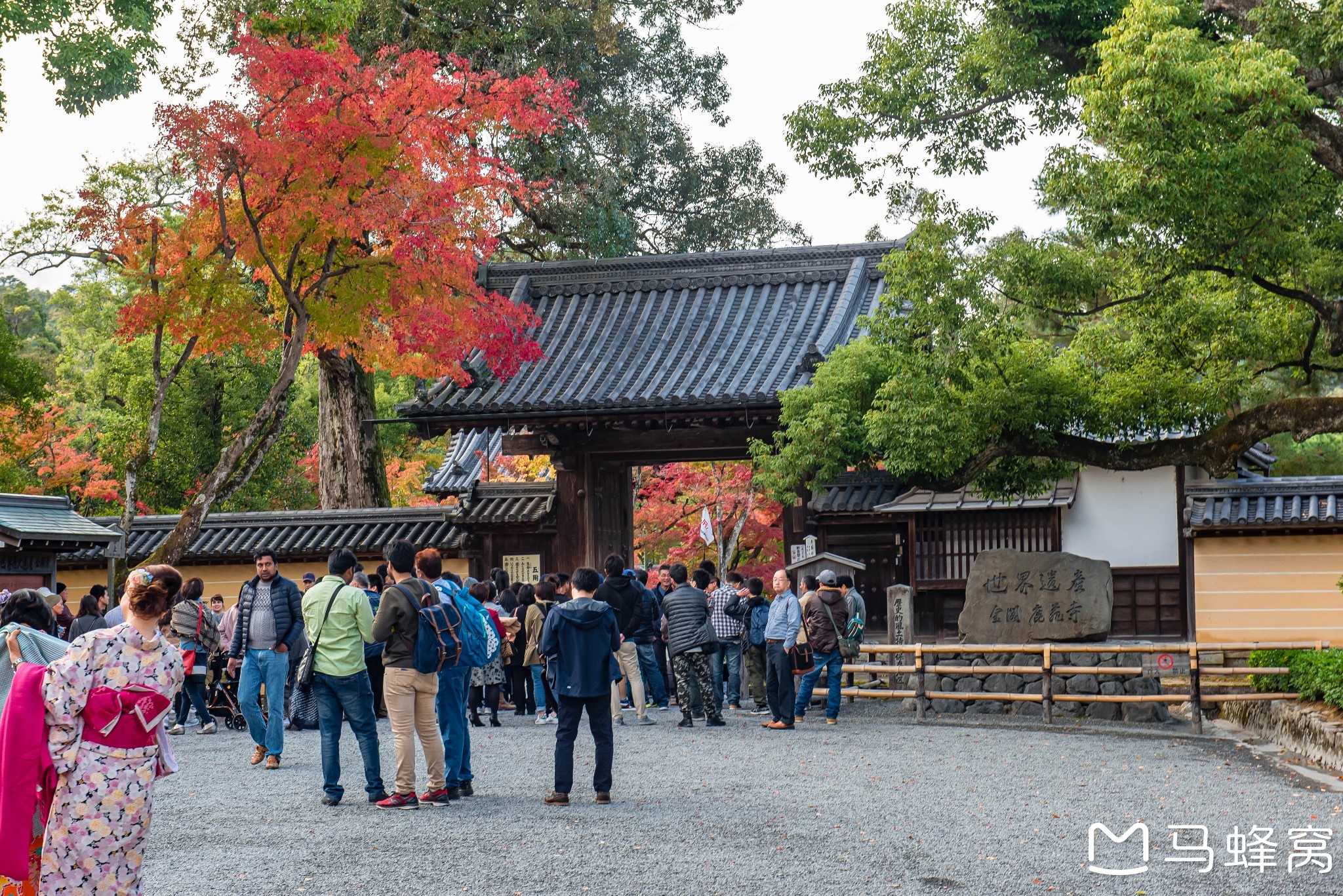 京都自助遊攻略