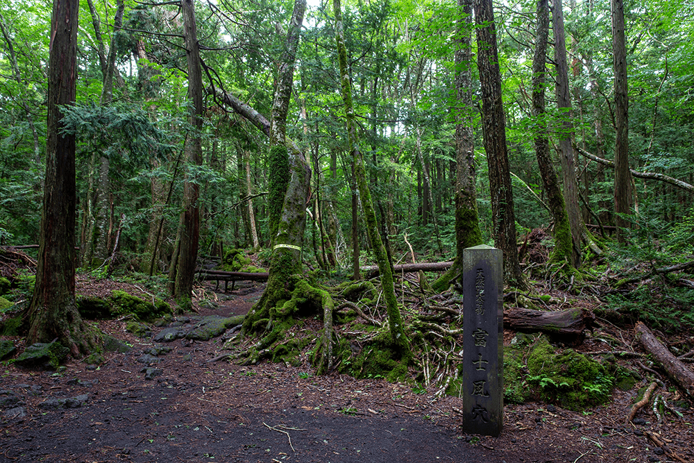 富士山自助遊攻略