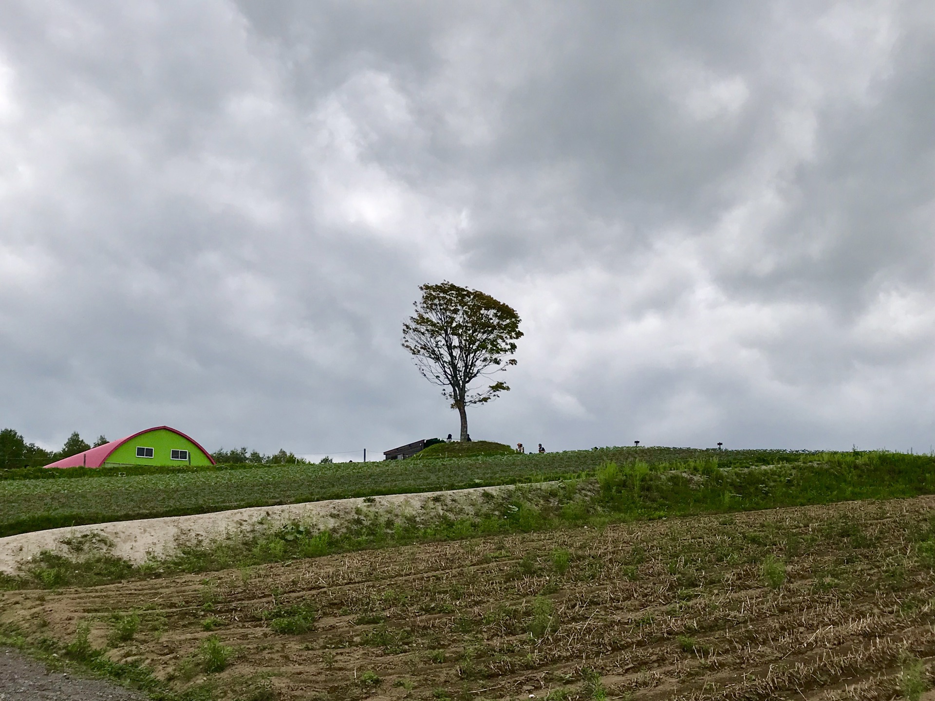 北海道自助遊攻略