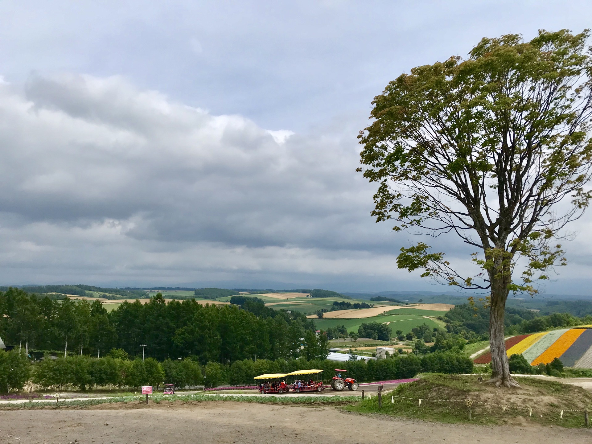 北海道自助遊攻略