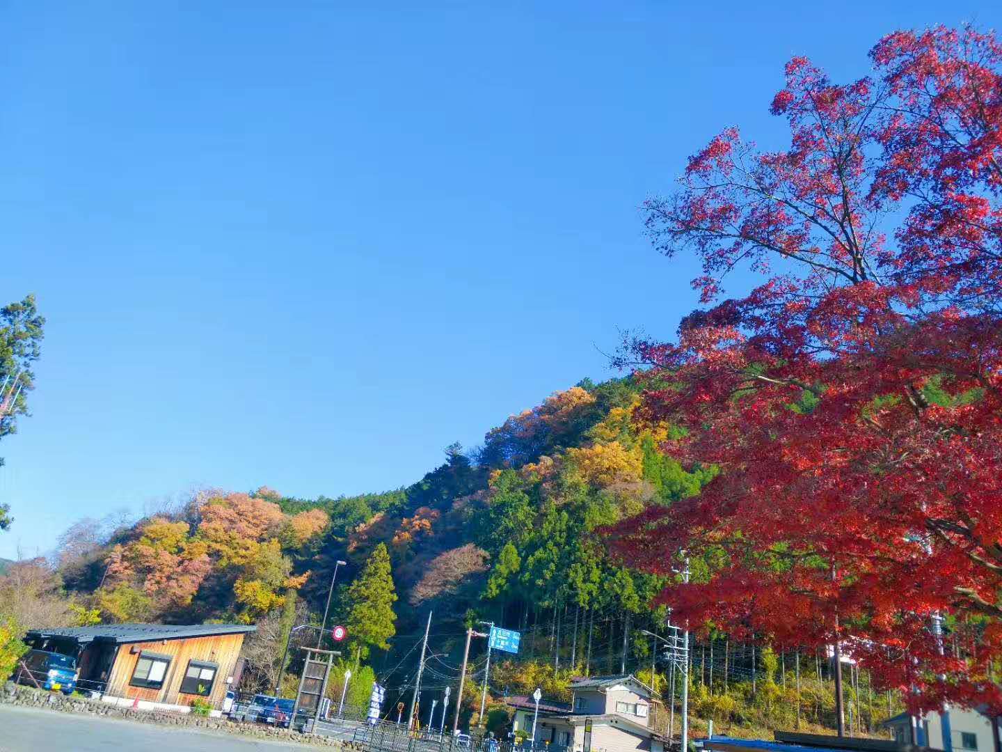 東京自助遊攻略