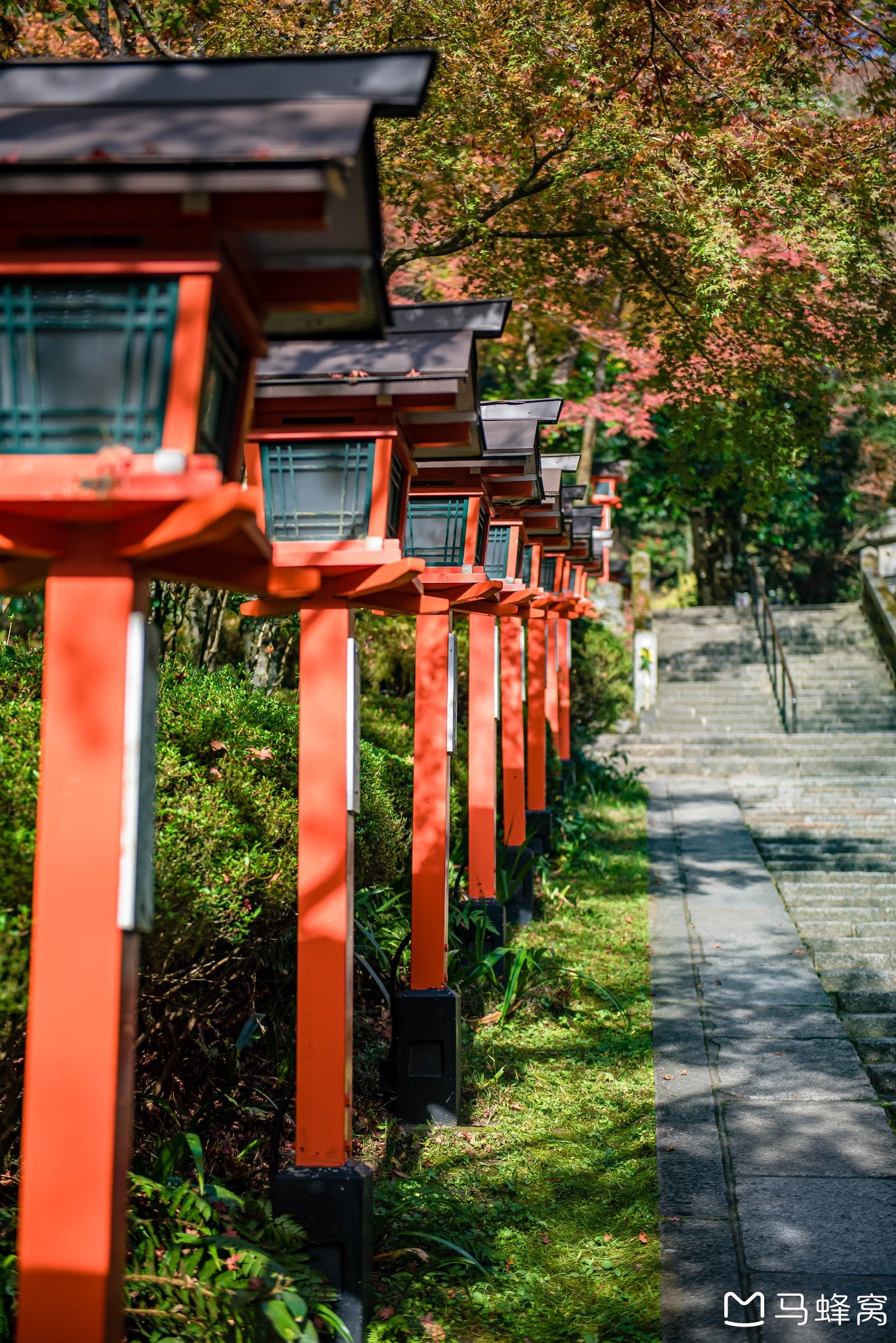 京都自助遊攻略