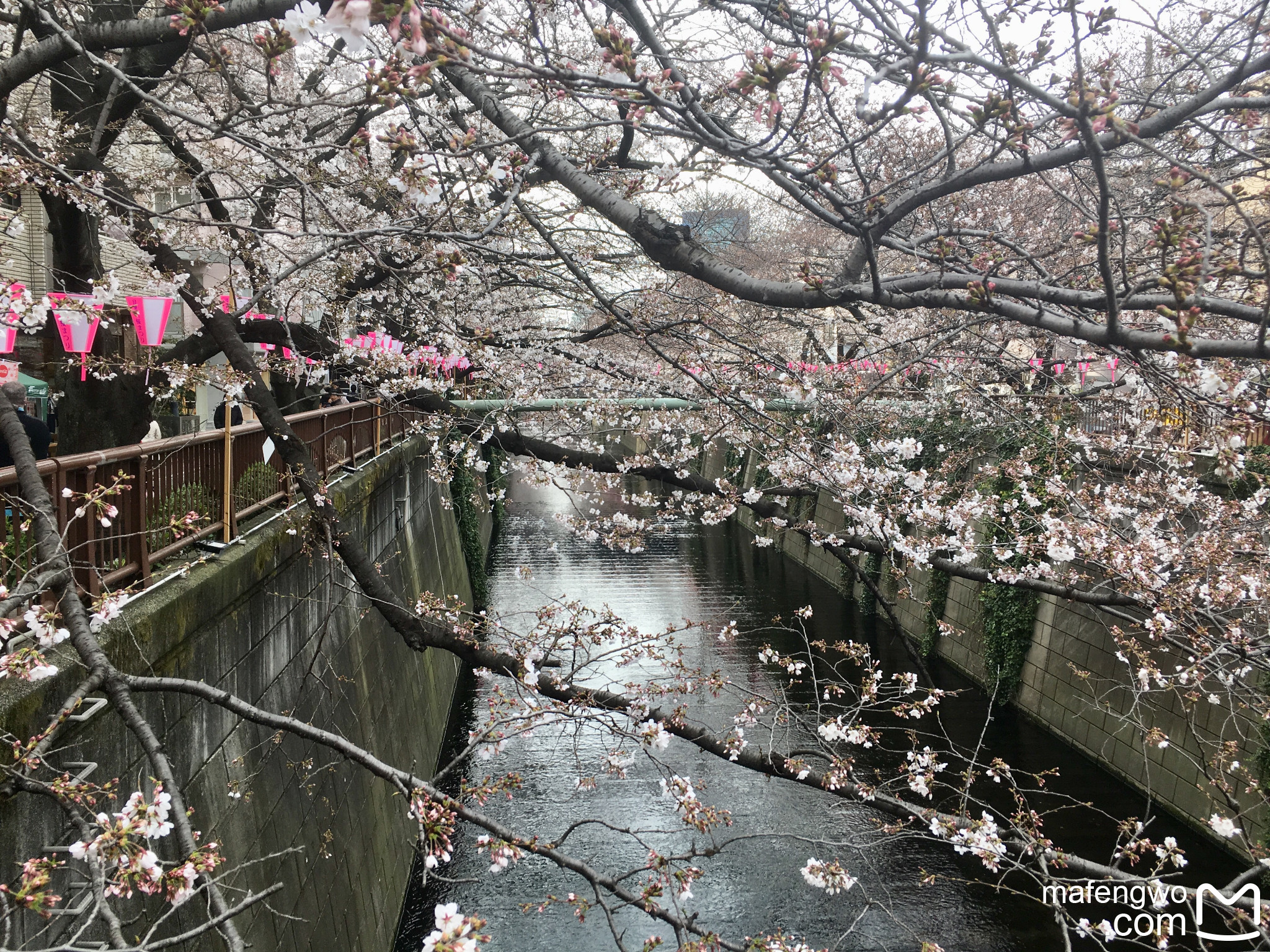 東京自助遊攻略