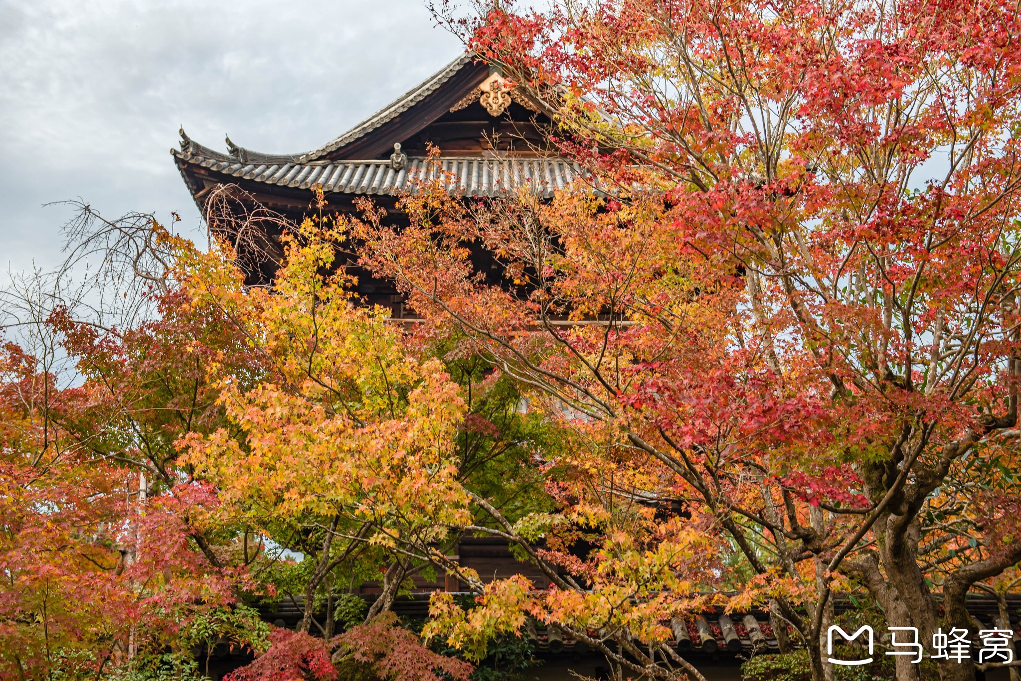 京都自助遊攻略