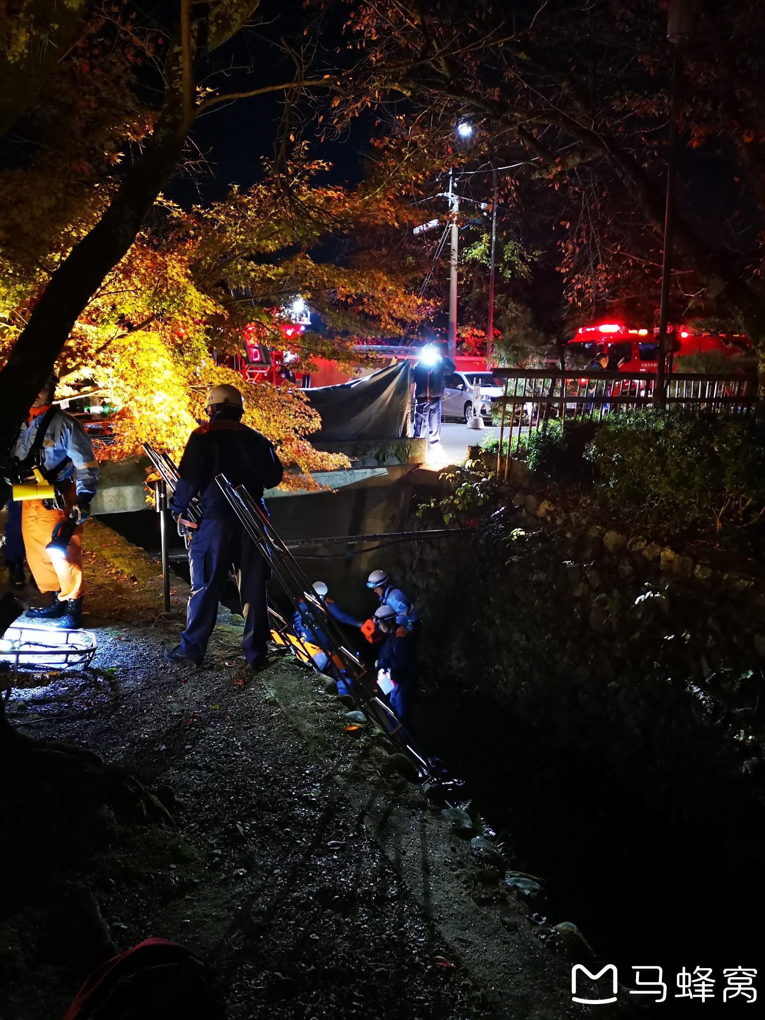 京都自助遊攻略