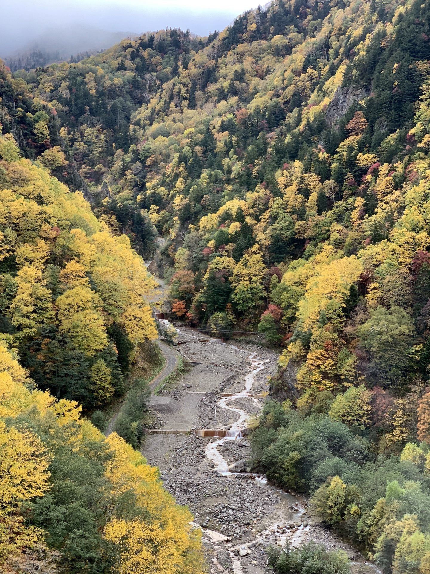 北海道自助遊攻略