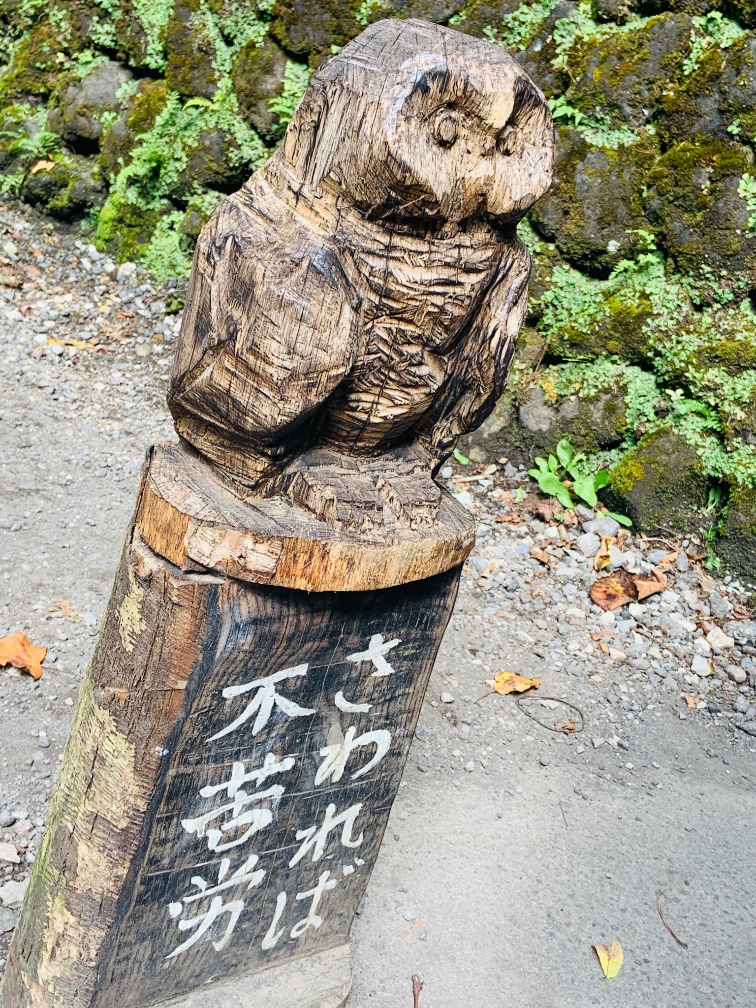 東京自助遊攻略