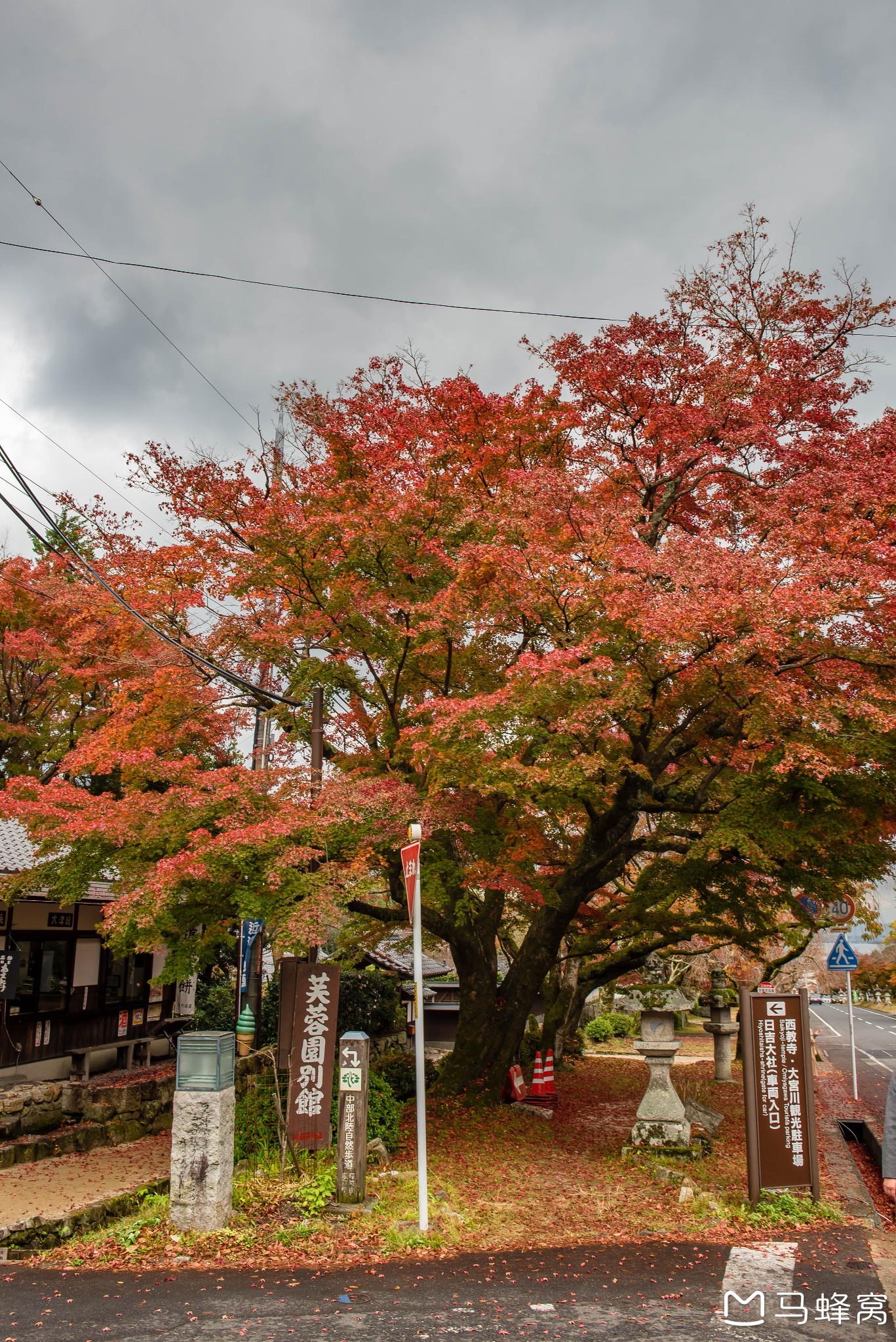 京都自助遊攻略