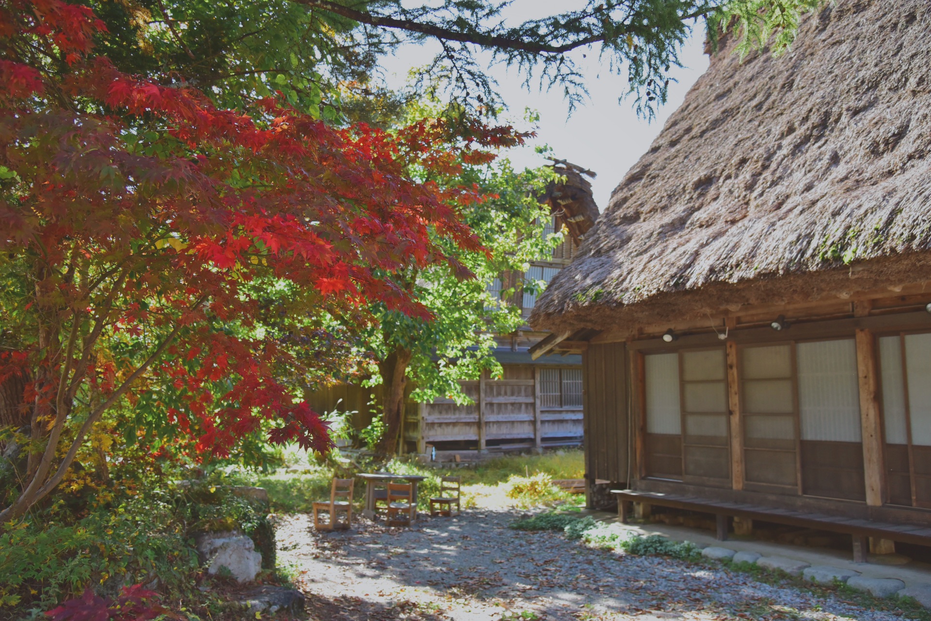 名古屋自助遊攻略