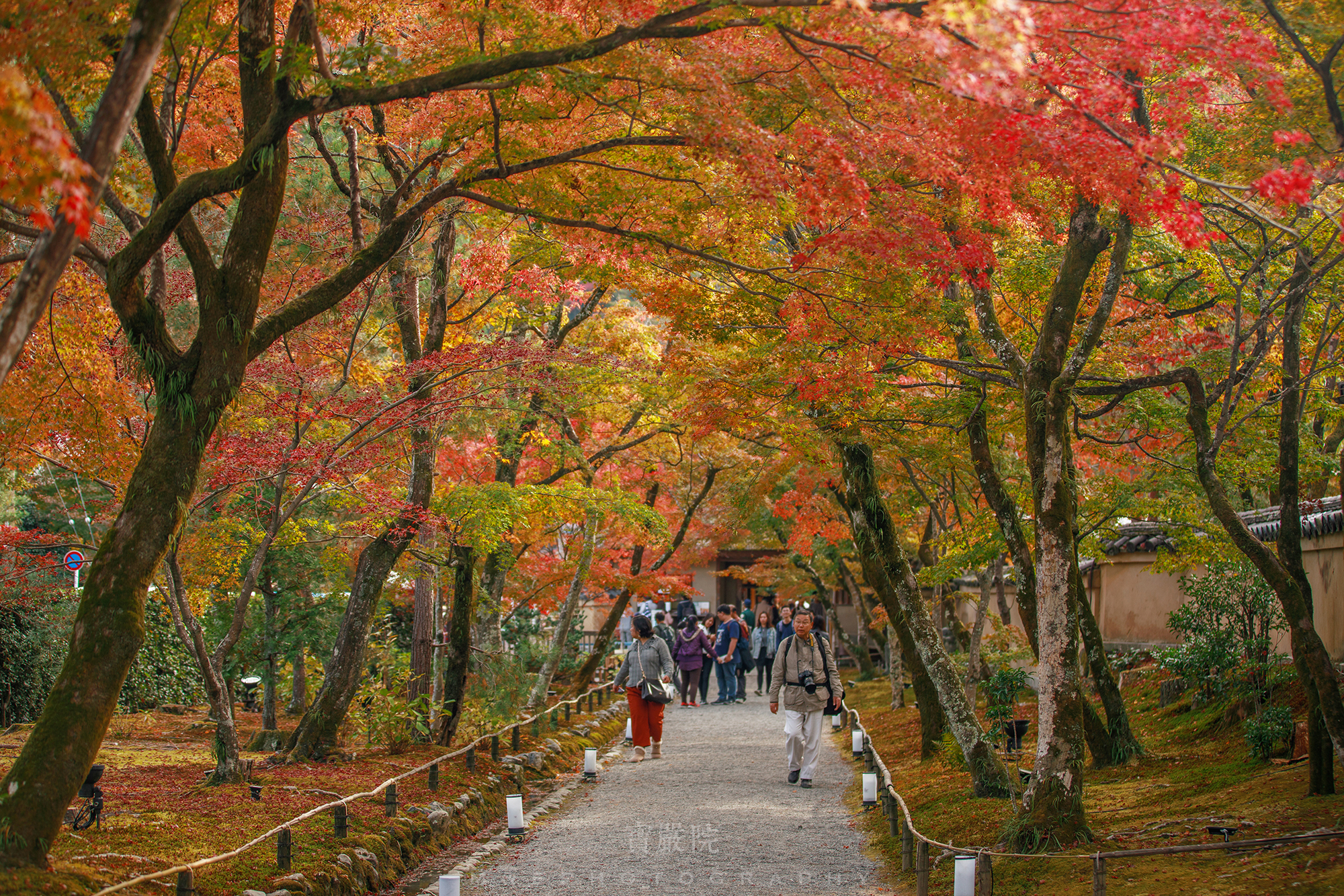 京都自助遊攻略