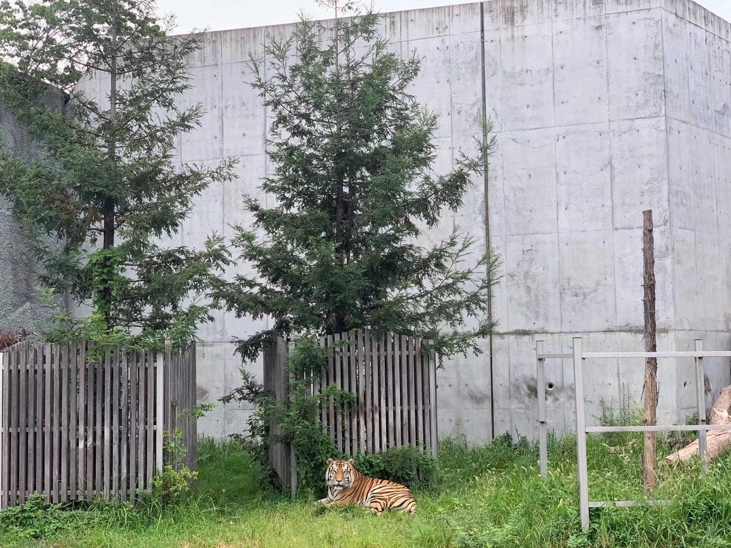 大阪自助遊攻略