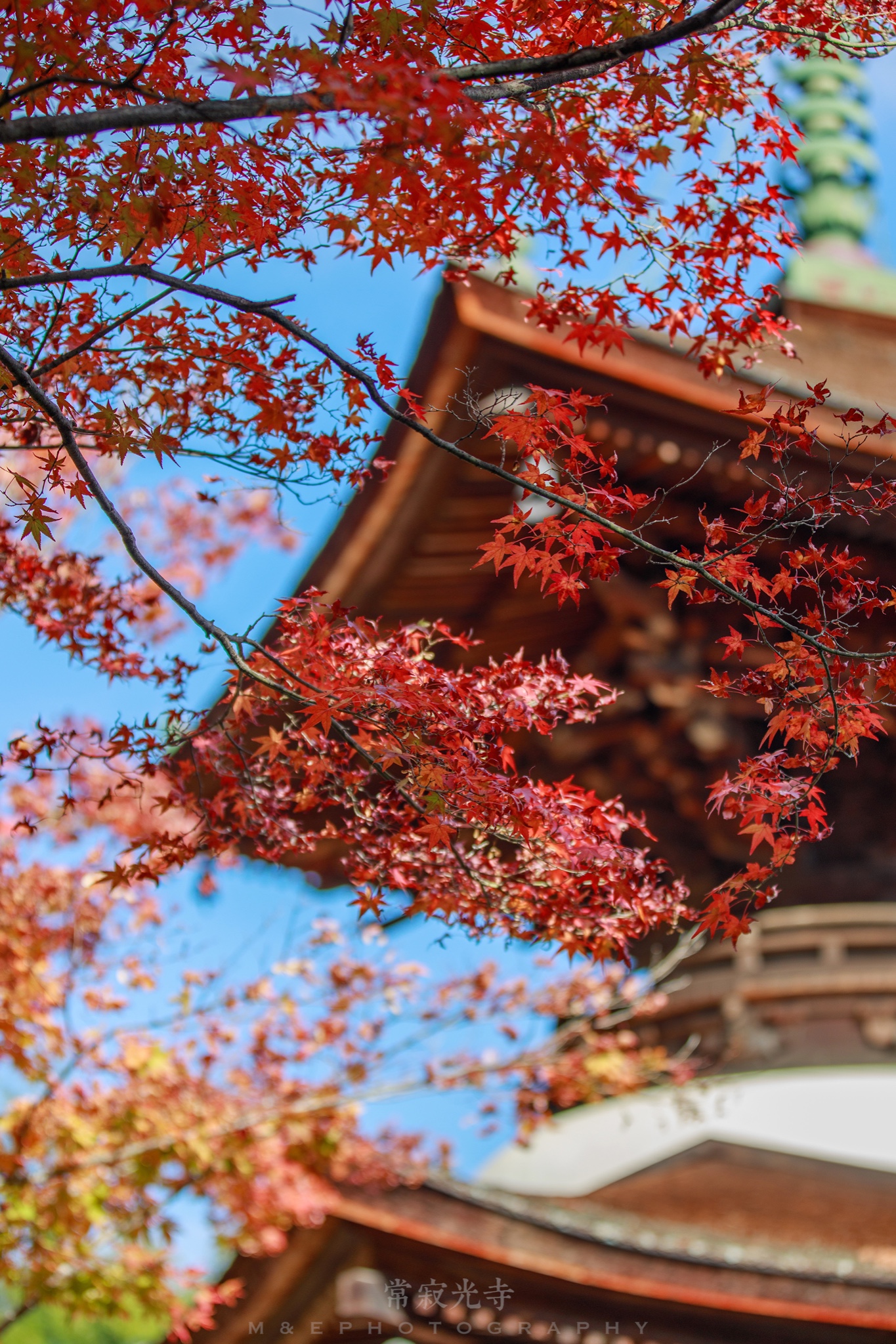 京都自助遊攻略