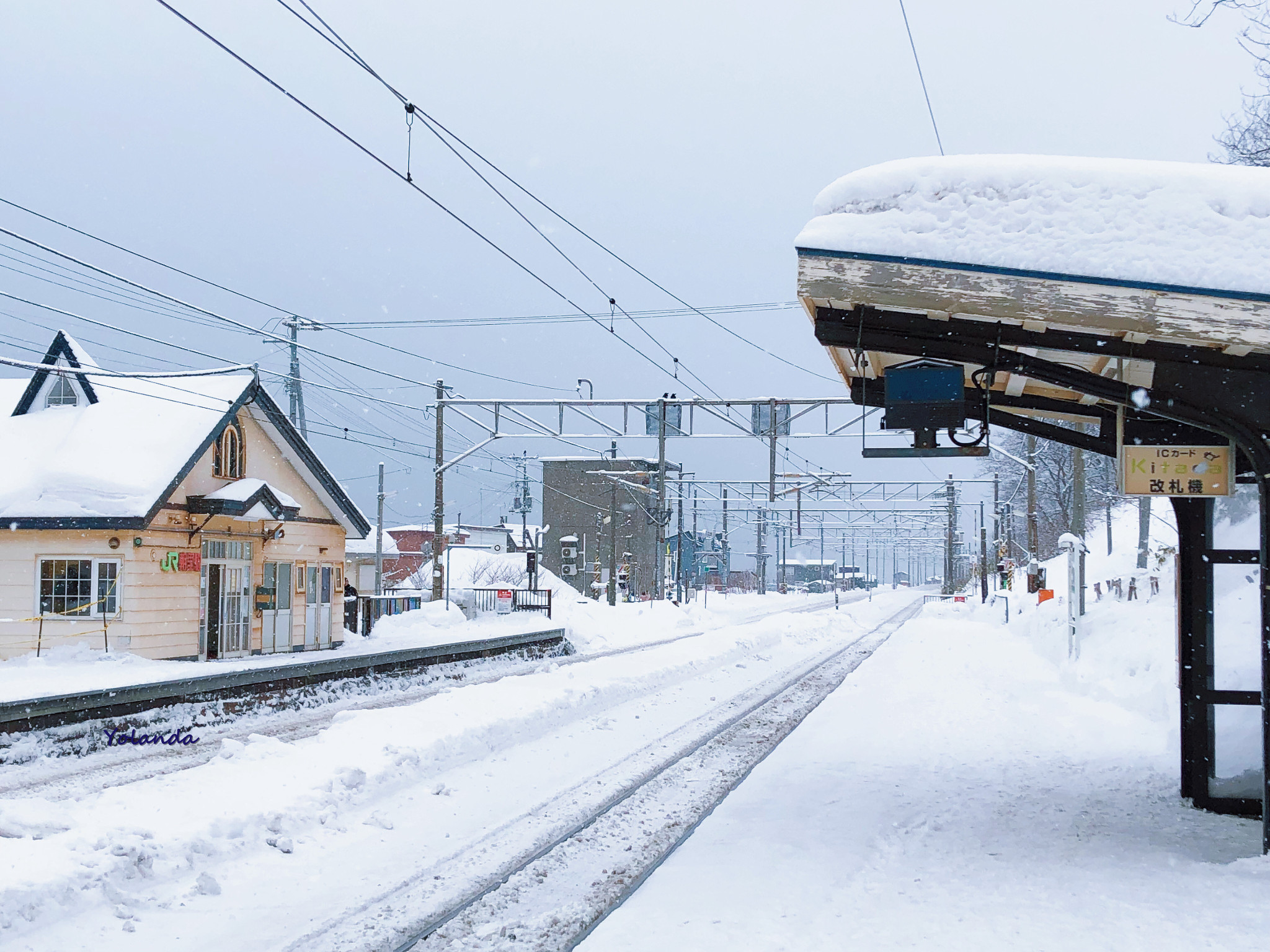 北海道自助遊攻略