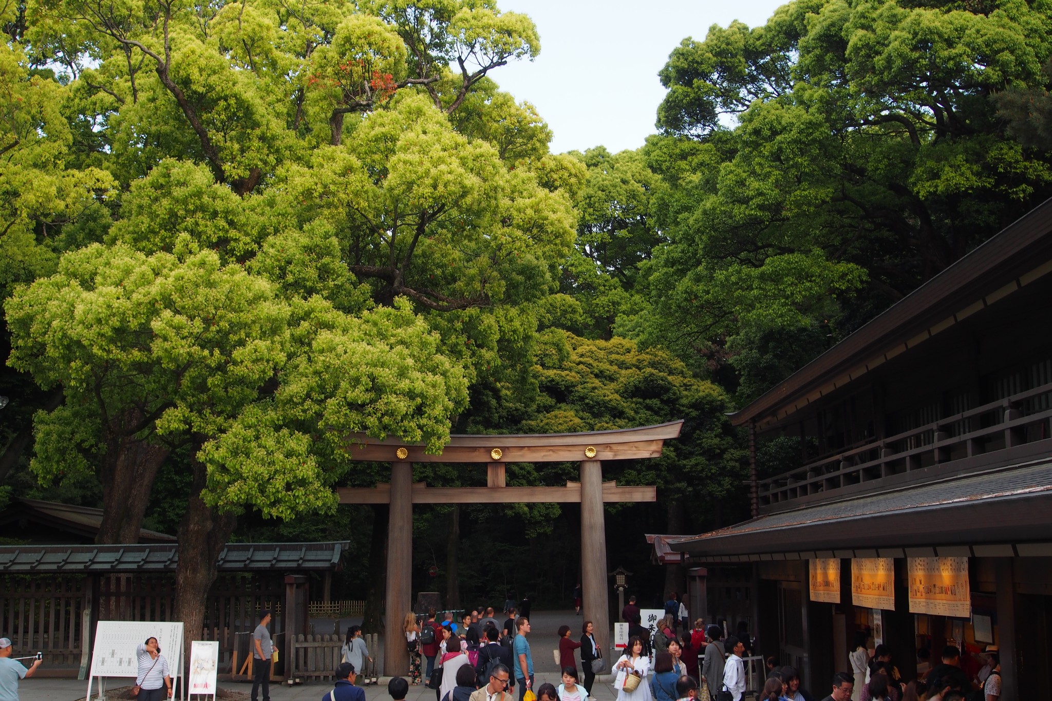 東京自助遊攻略