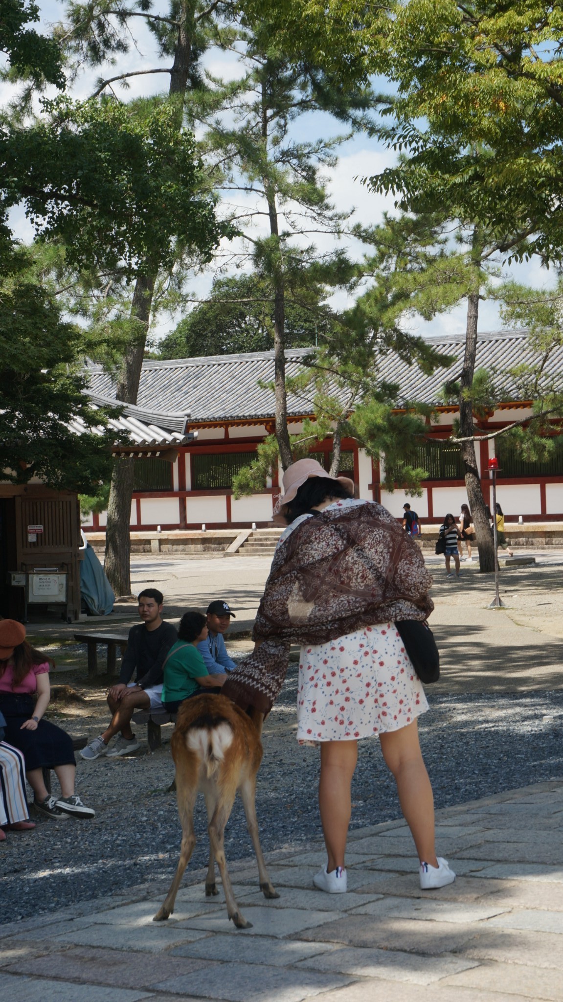 京都自助遊攻略