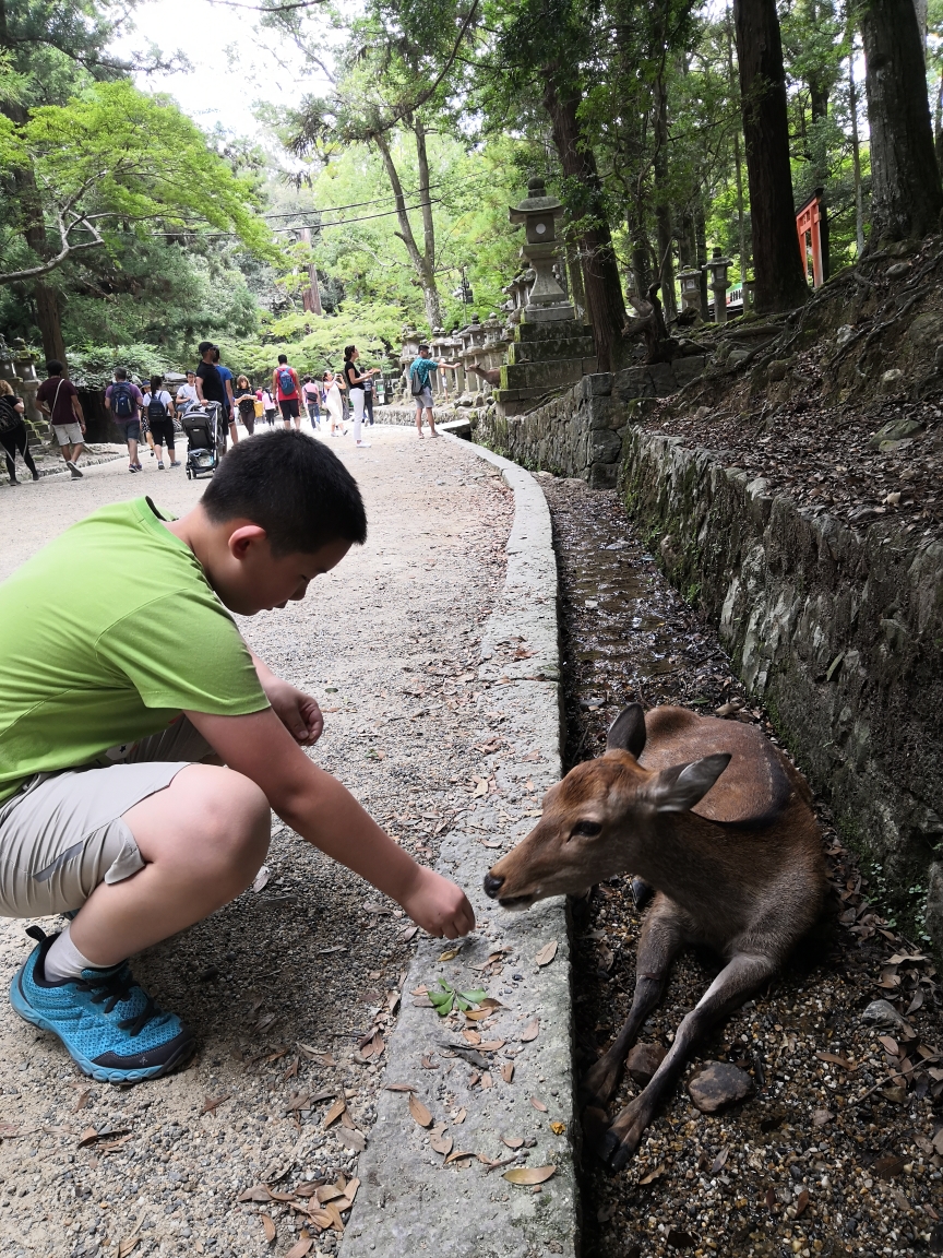 京都自助遊攻略