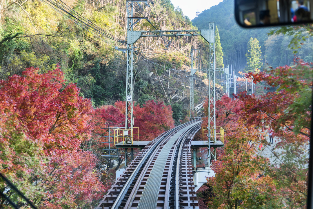 京都自助遊攻略