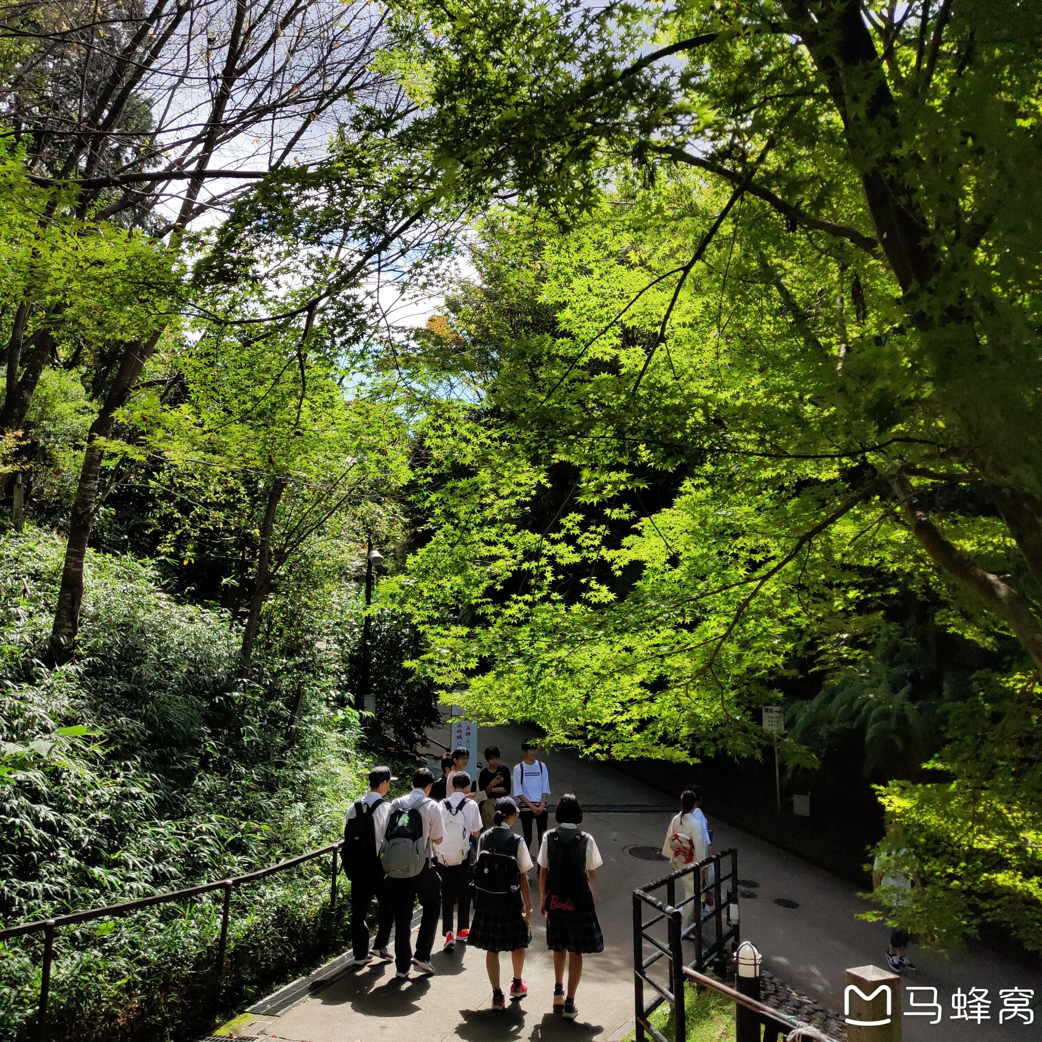 東京自助遊攻略