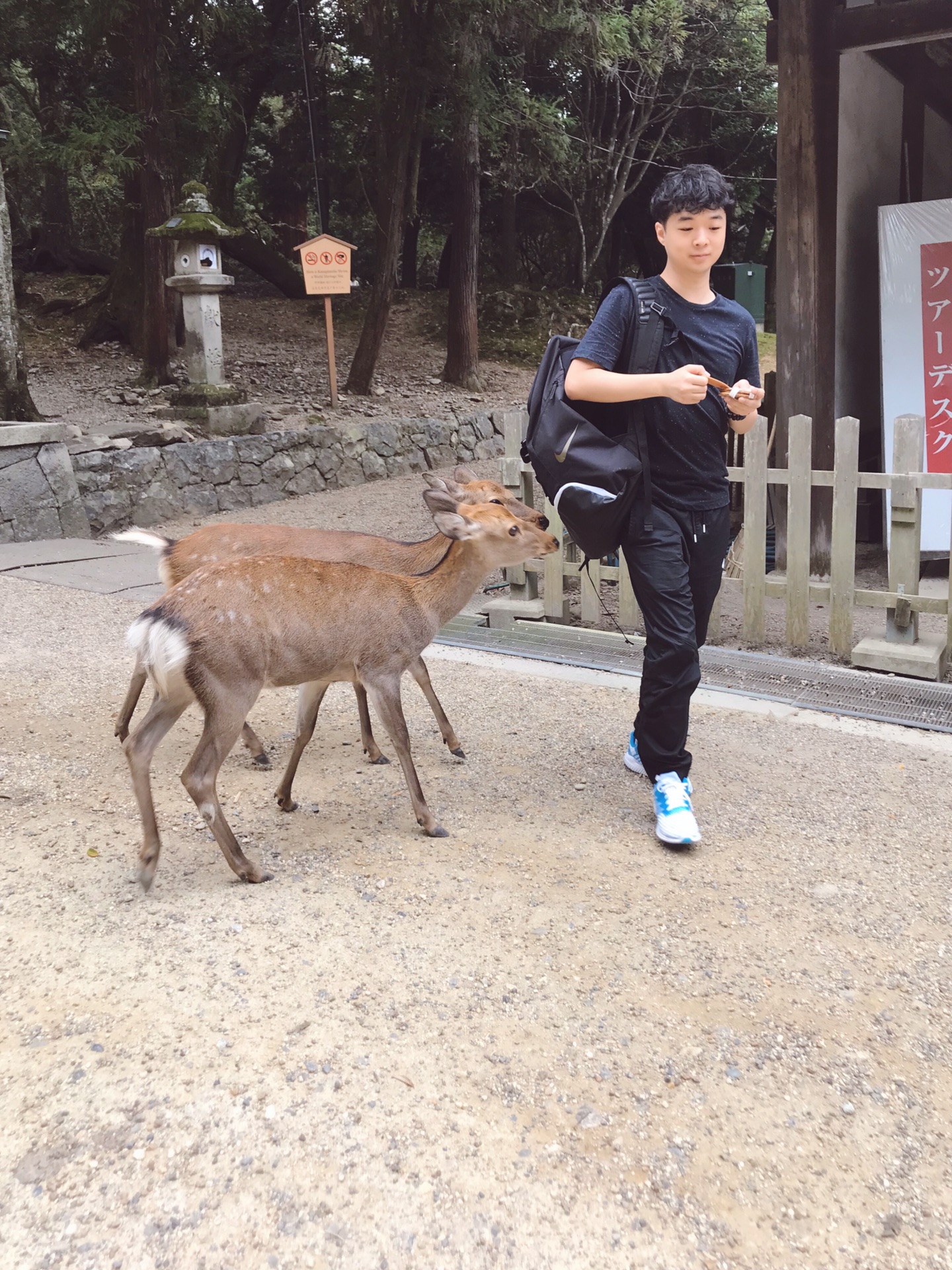 大阪自助遊攻略