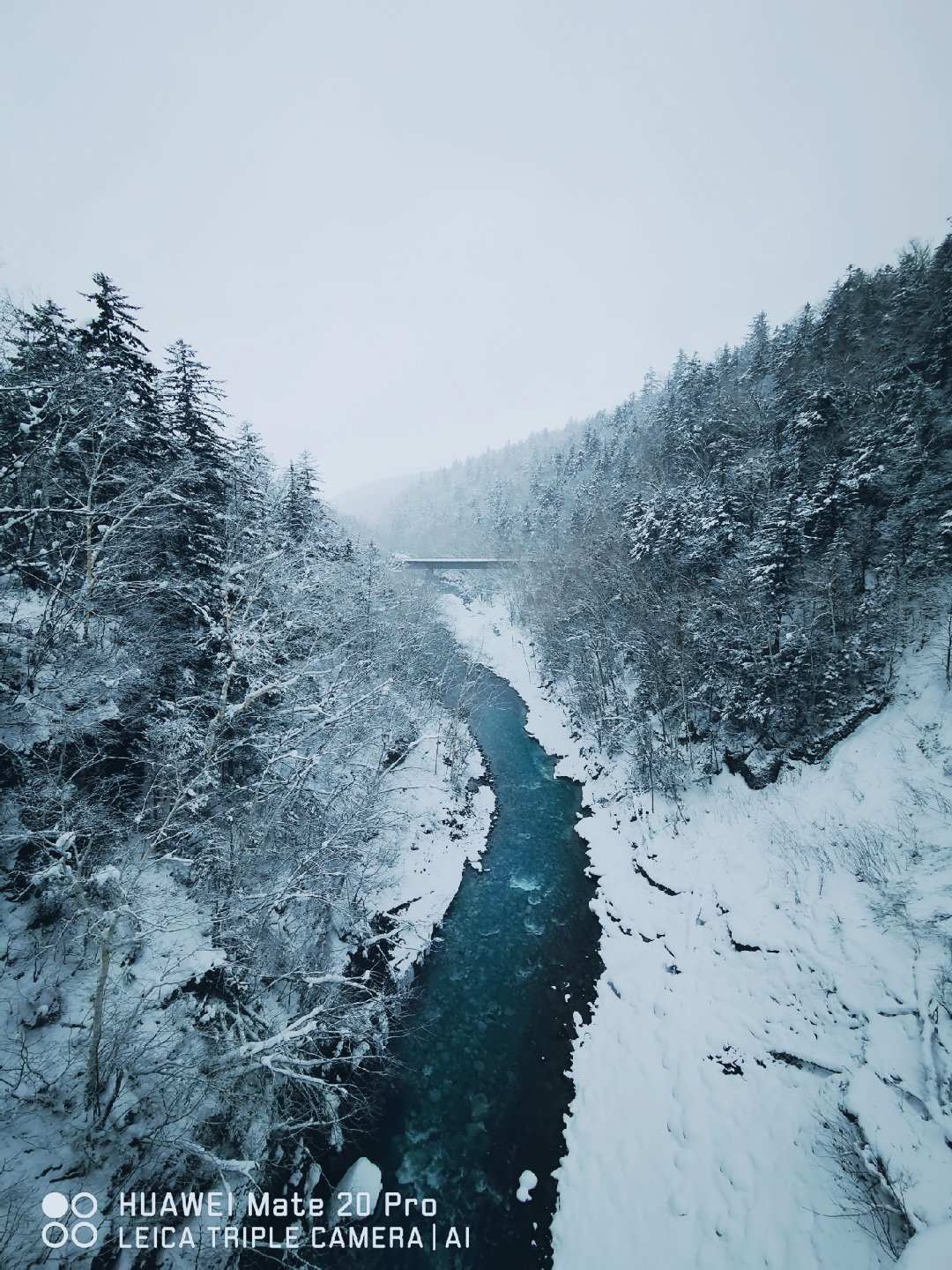 北海道自助遊攻略