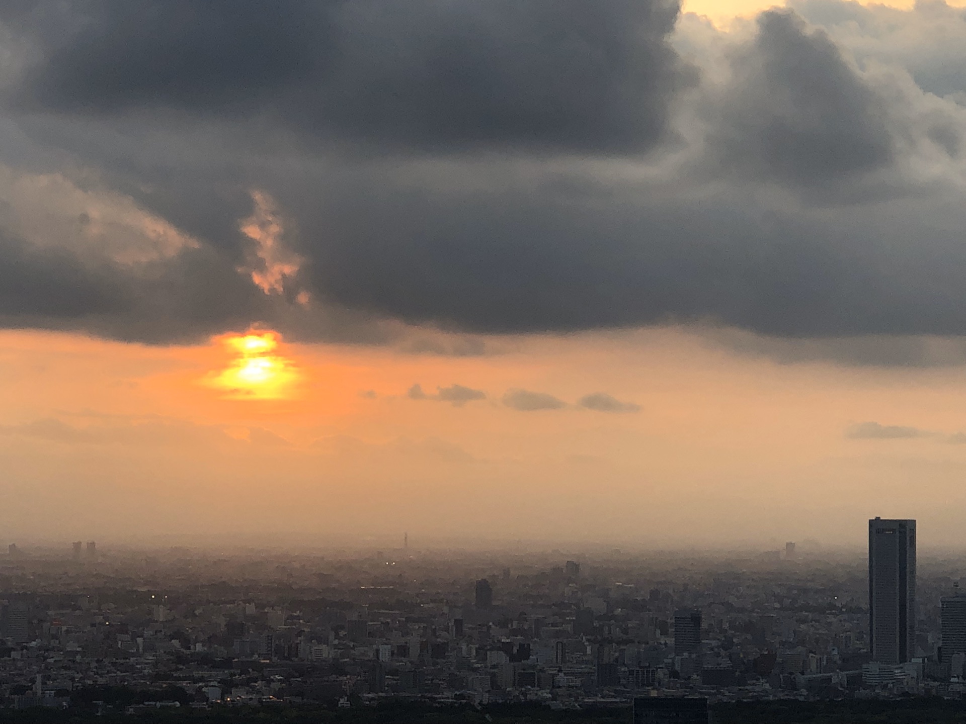 東京自助遊攻略