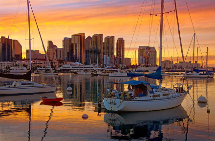 回复帖子:美国加州之旅--加州大学riverside分校一游