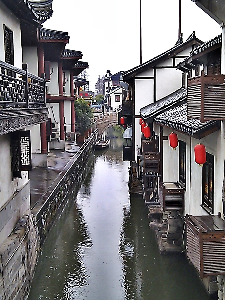 minnie:腊梅应该是尾声了,现在是看梅花的时候,沪上世纪公园,莘庄公园