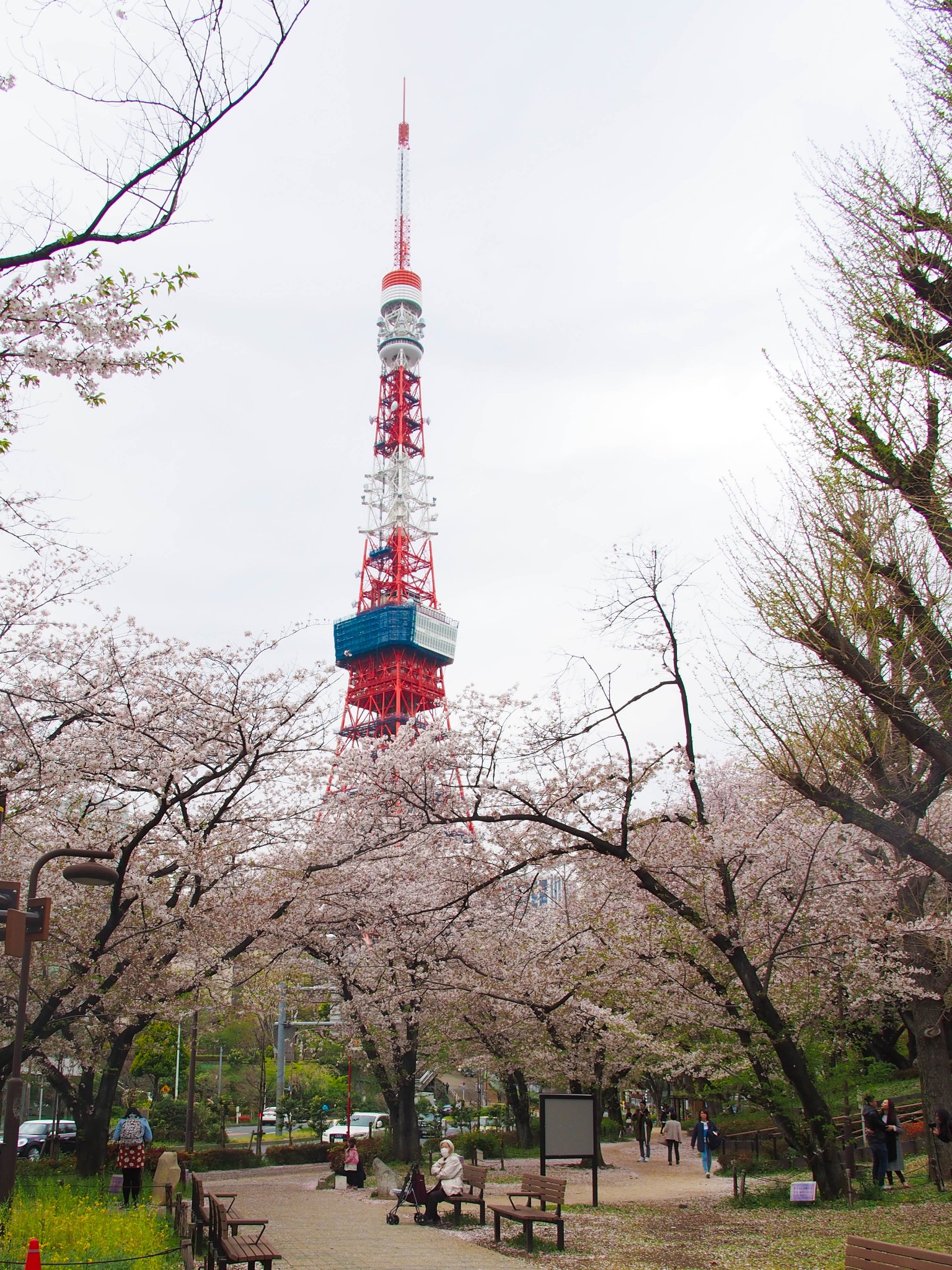 京都自助遊攻略