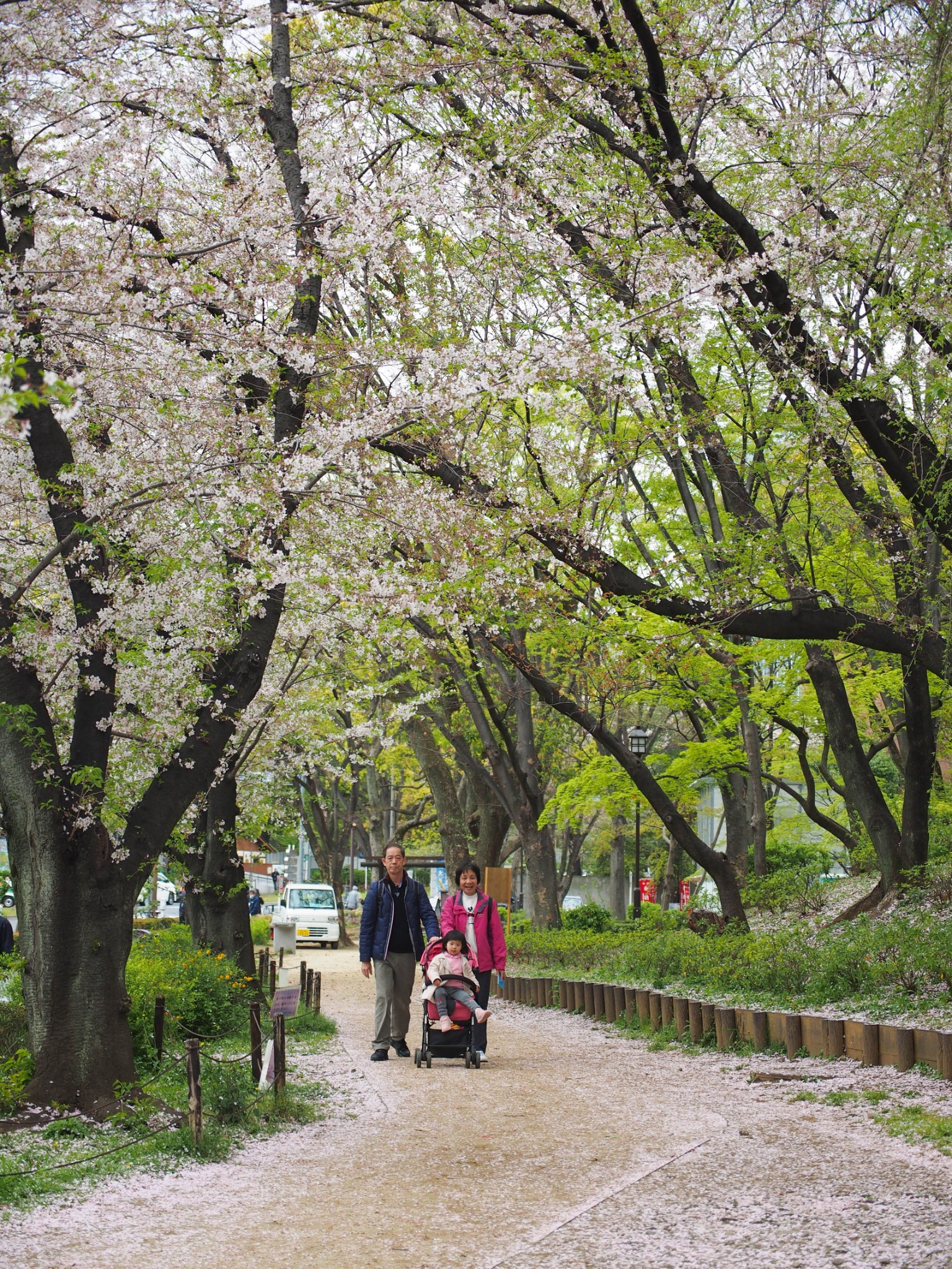 京都自助遊攻略