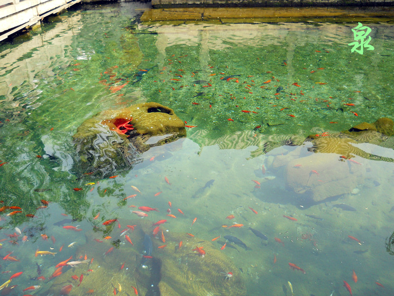 济南gdp为什么不挤水_济南gdp破万亿图片(2)