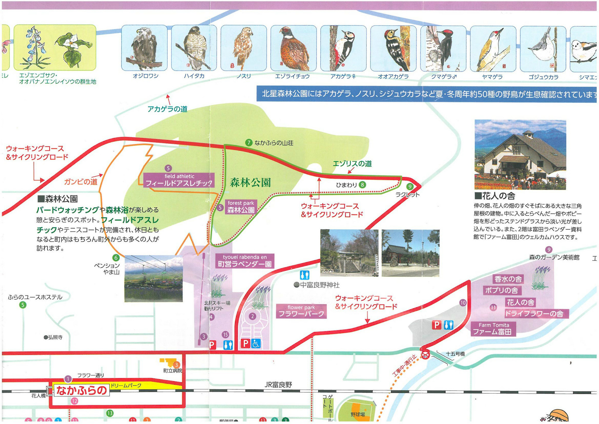 广西北海市人口_北海市人口密度地图(2)