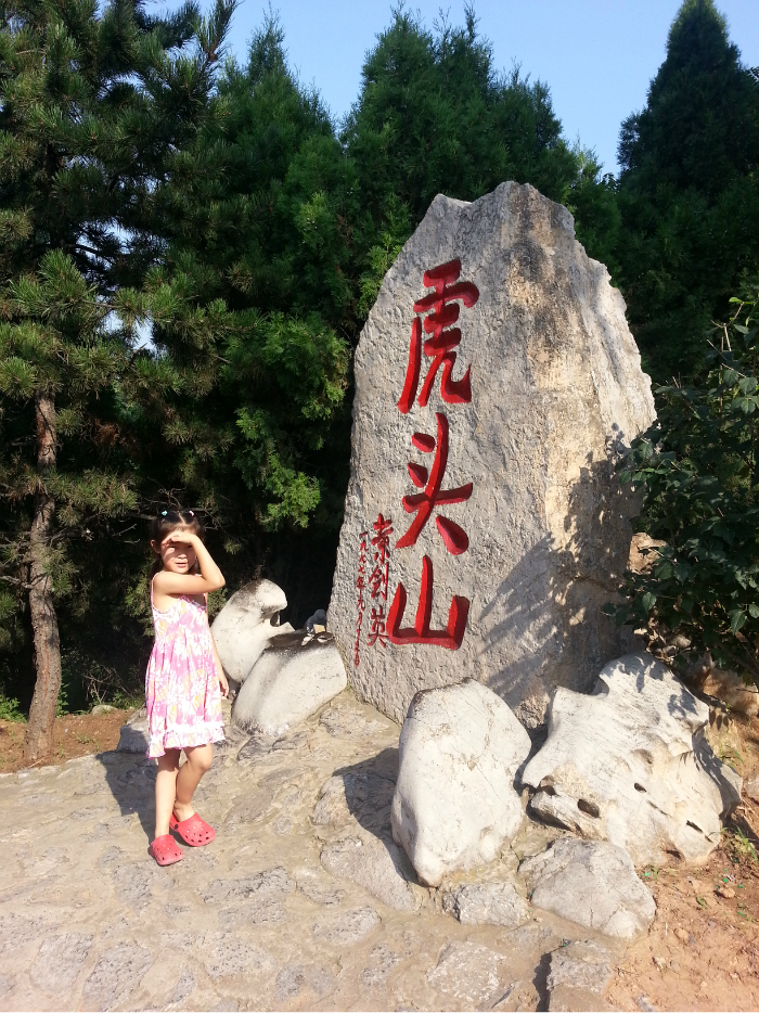 山西大寨村人均收入_大寨苗族乡大寨村图片(2)