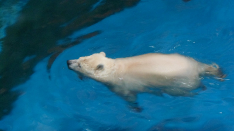 wKgB4lOUCP2AWzK-AAD41VvZhTU16.jpeg?imageView2%2F2%2Fw%2F600%2Fq%2F90