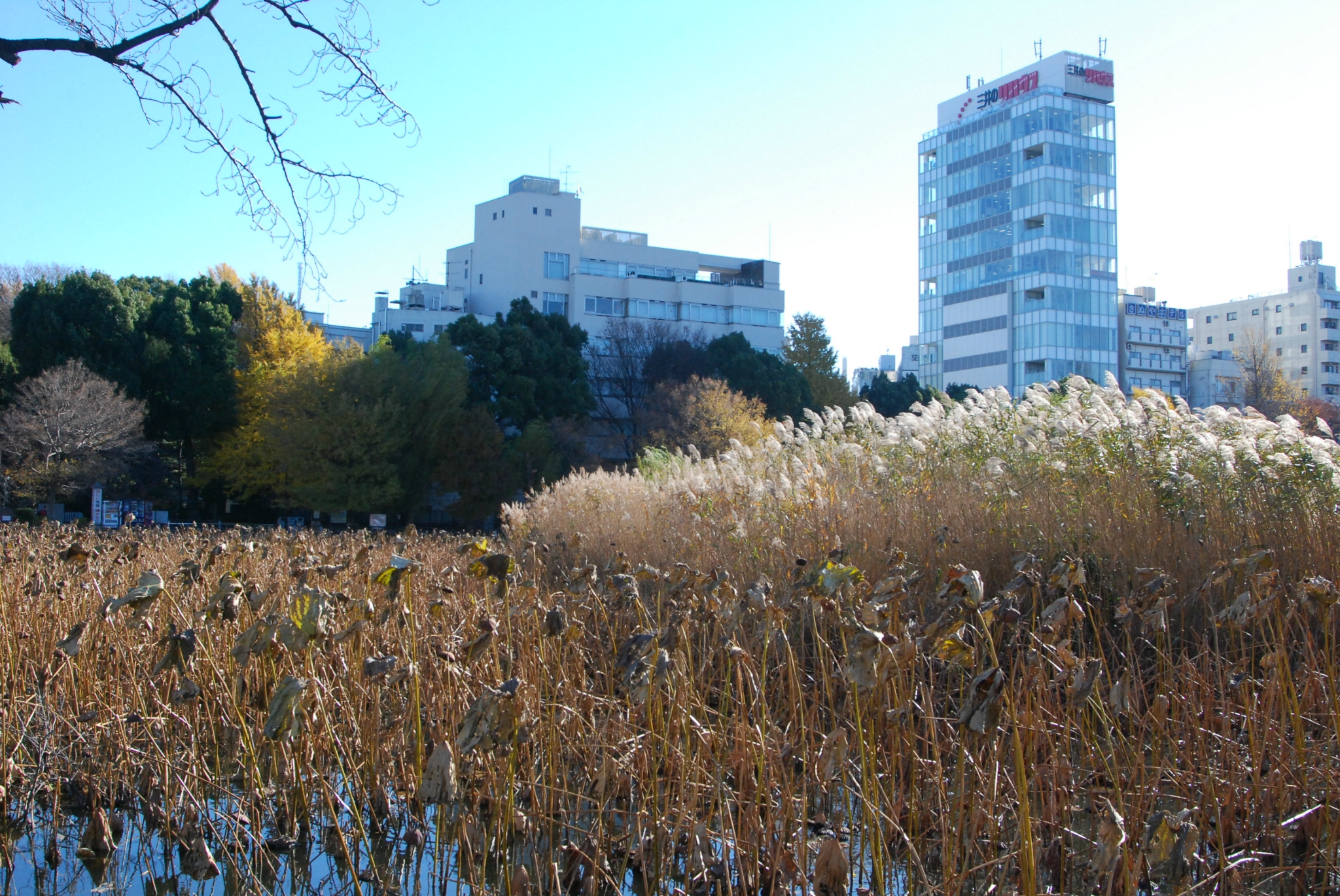 東京自助遊攻略