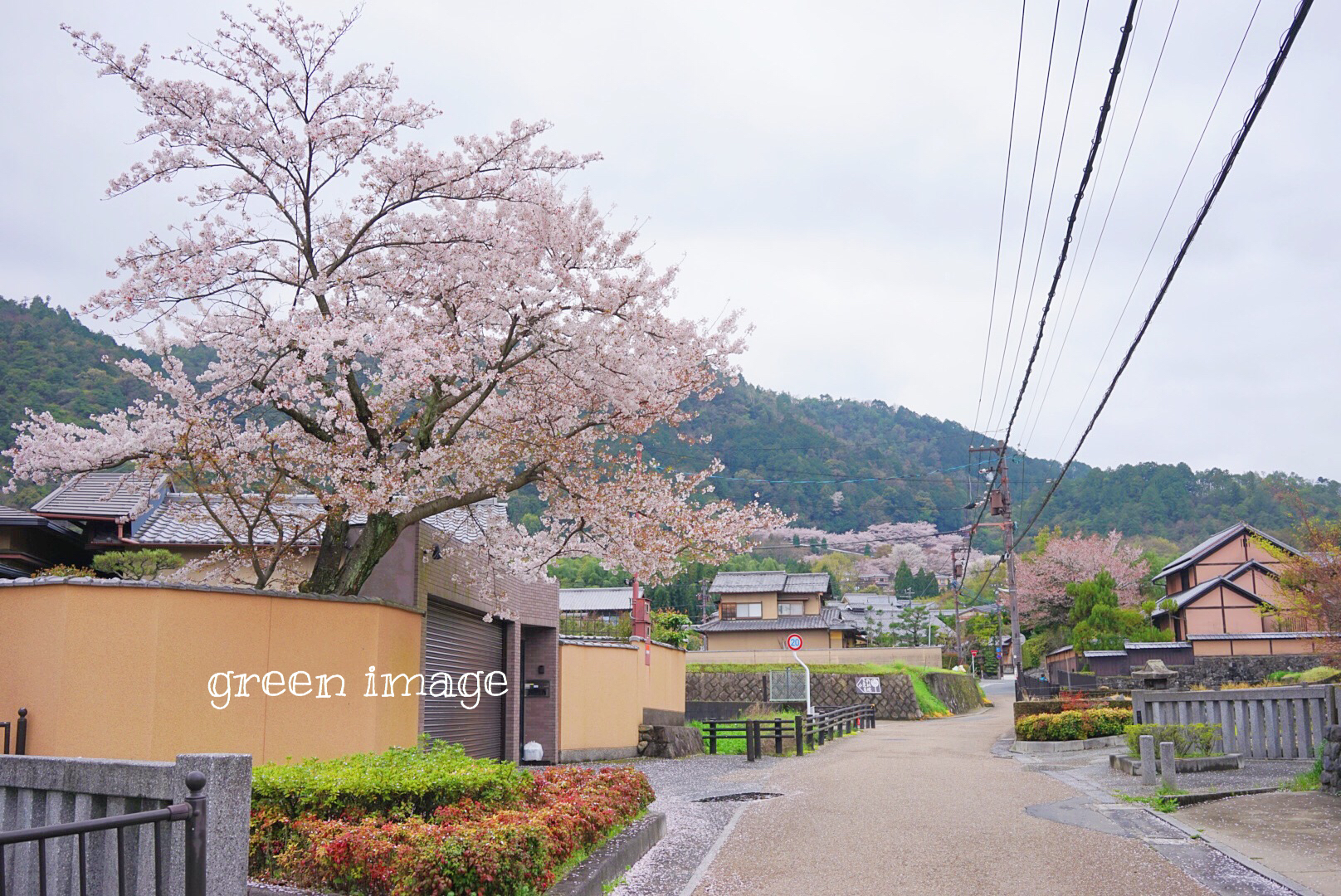 京都自助遊攻略