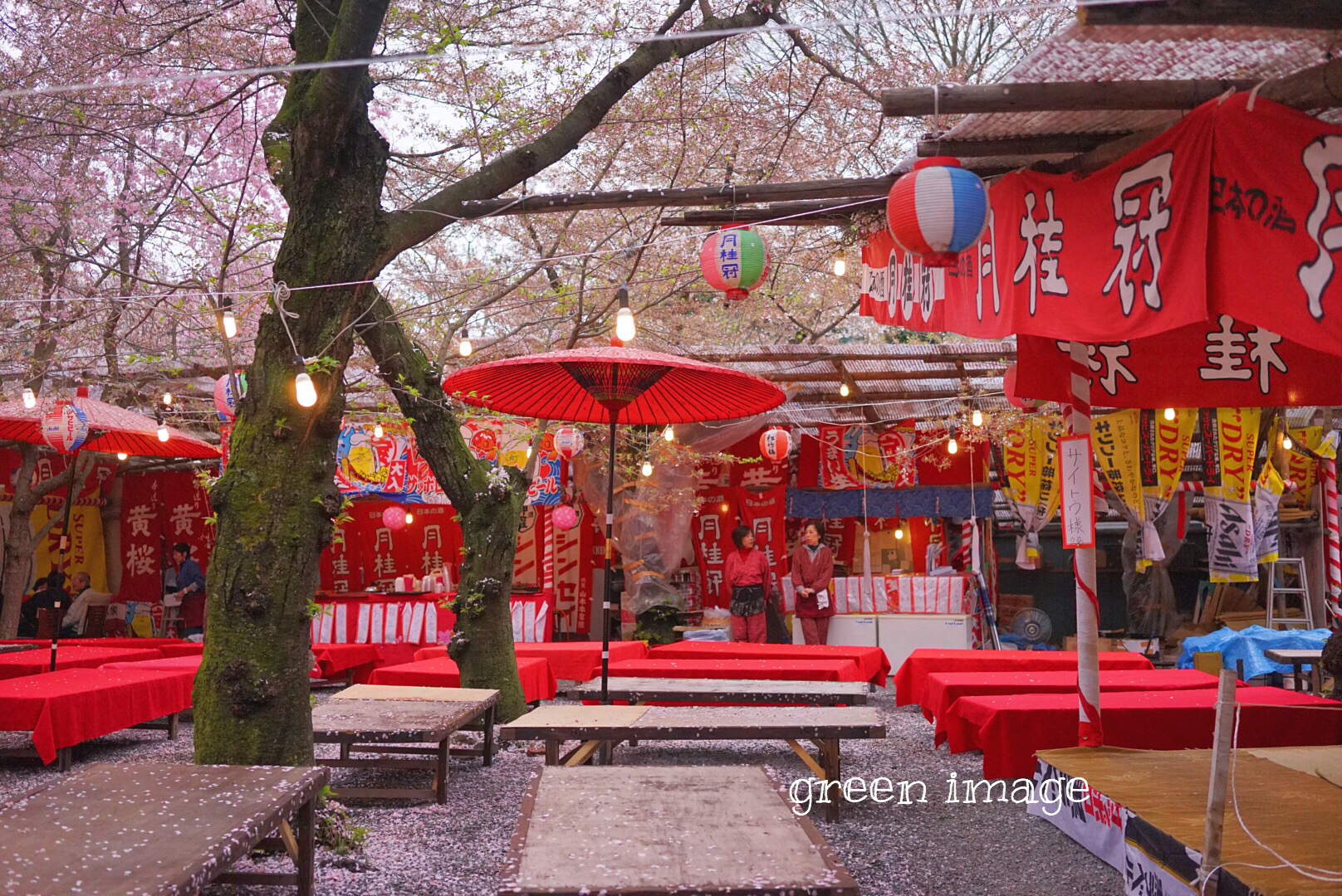 京都自助遊攻略