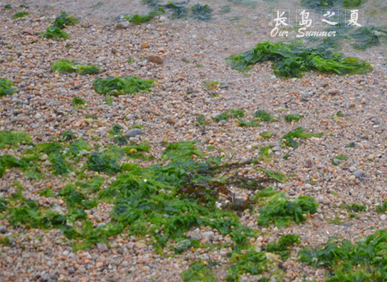 長島自助遊攻略