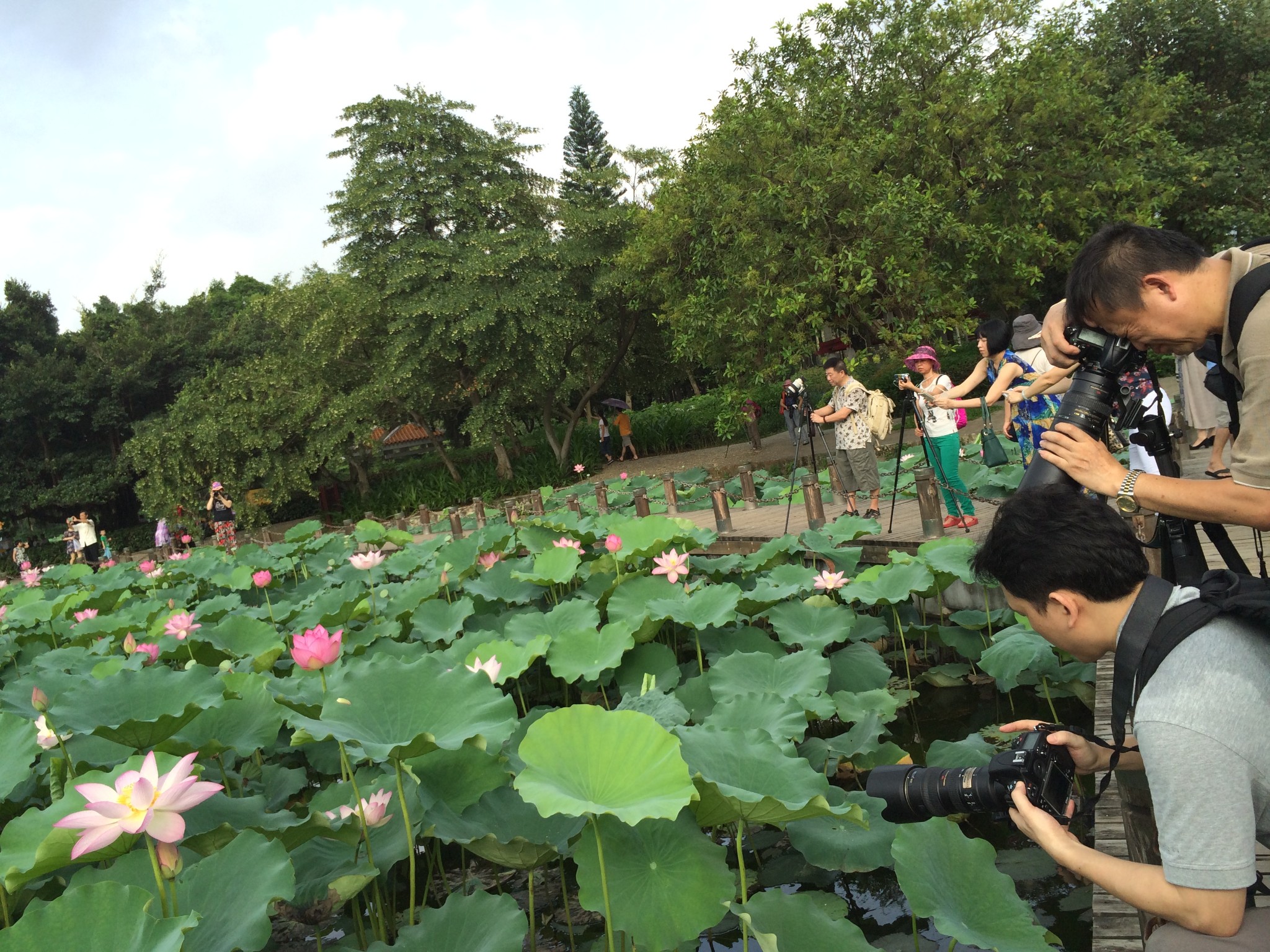 深圳自助遊攻略