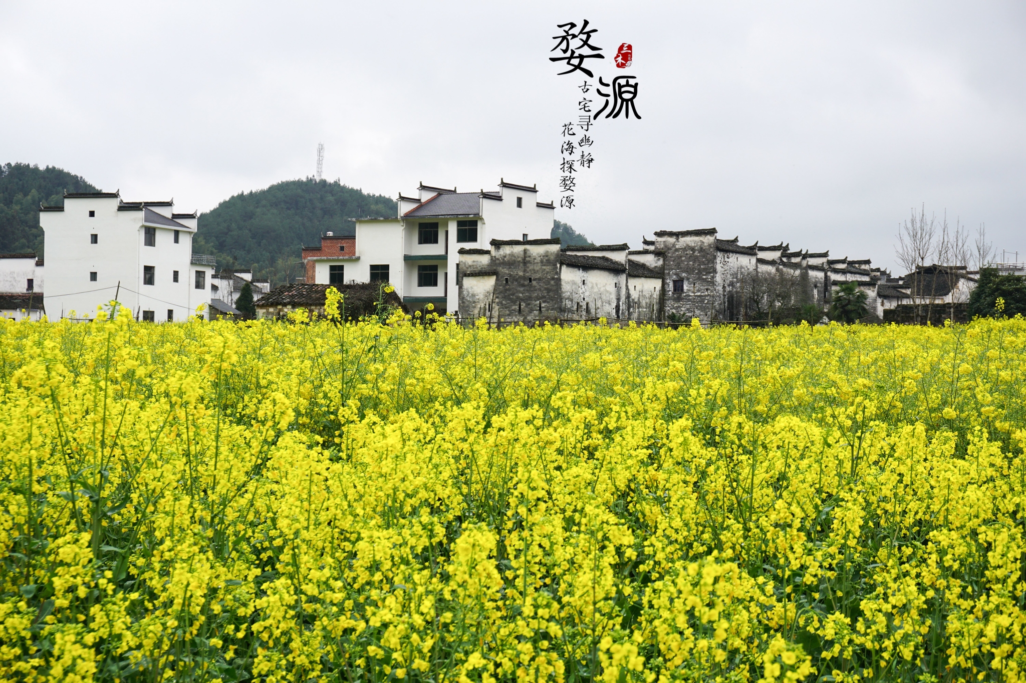 婺源自助遊攻略