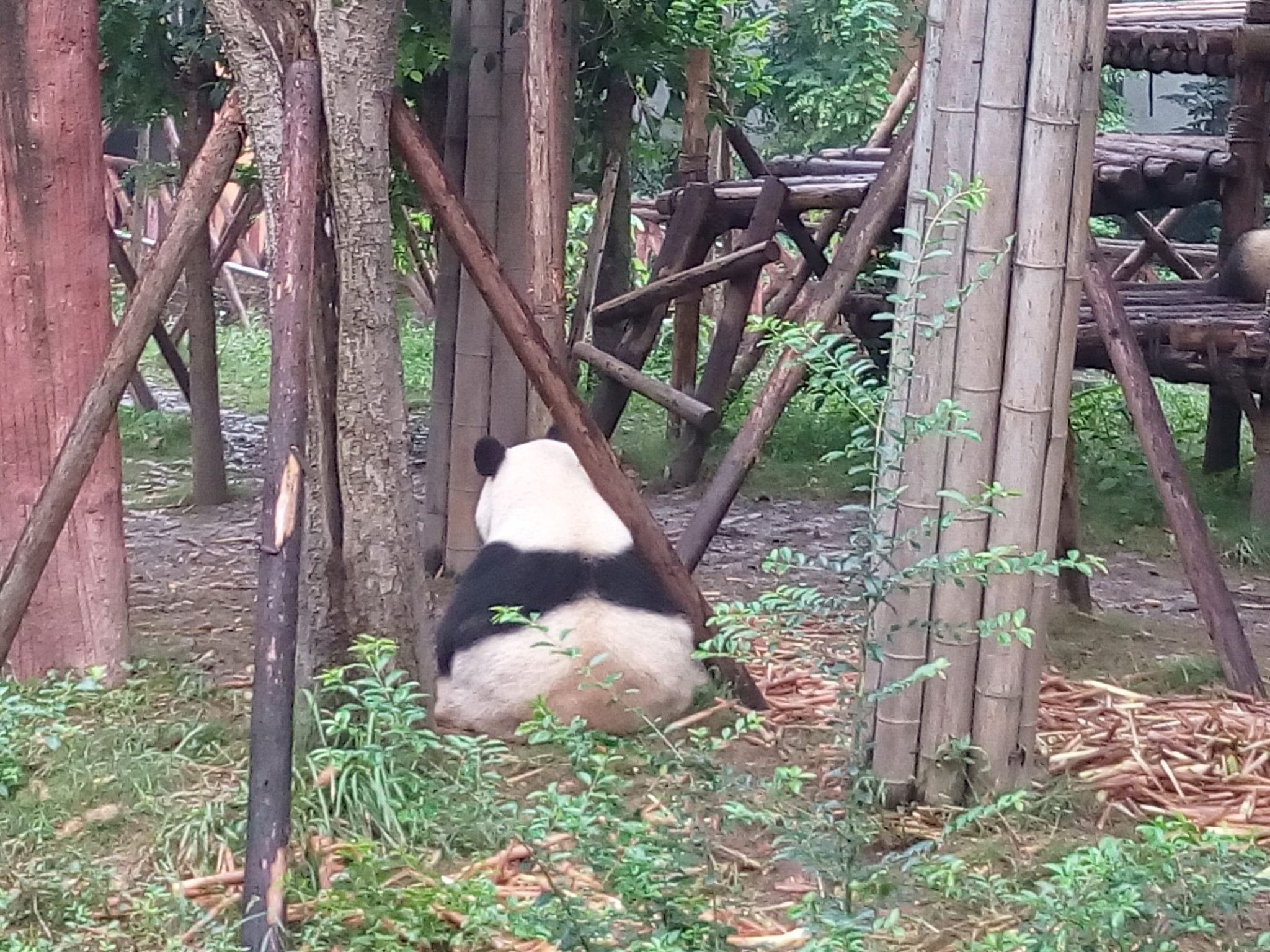 成都人口音好难听_成都地铁(3)